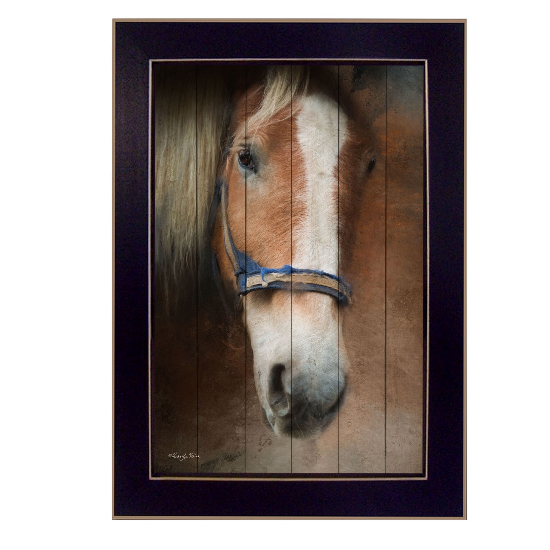 "Blaze" By Robin-Lee Vieira, Printed Wall Art, Ready To Hang Framed Poster, Black Frame--1