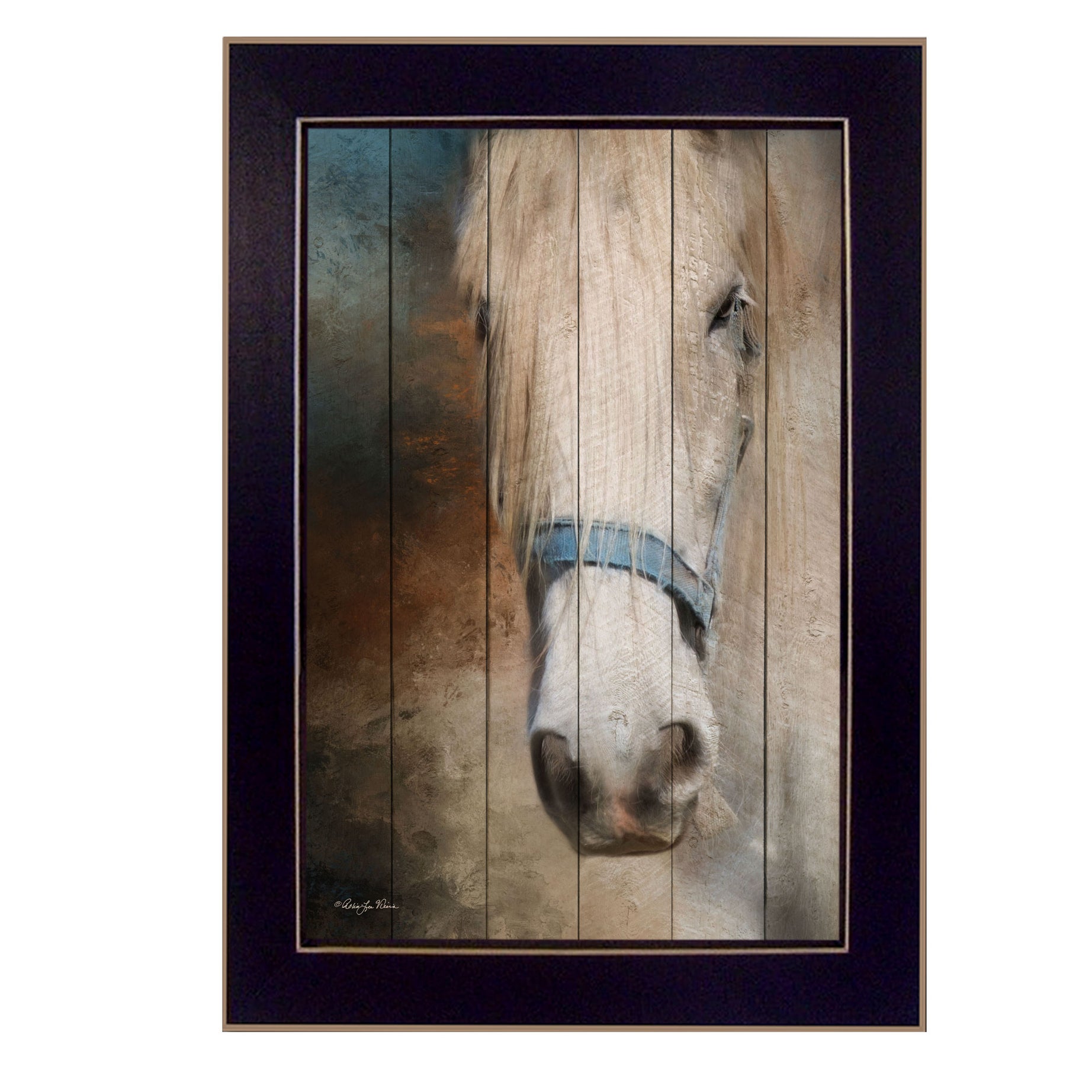 "Old Gray Mare" By Robin-Lee Vieira, Printed Wall Art, Ready To Hang Framed Poster, Black Frame--1