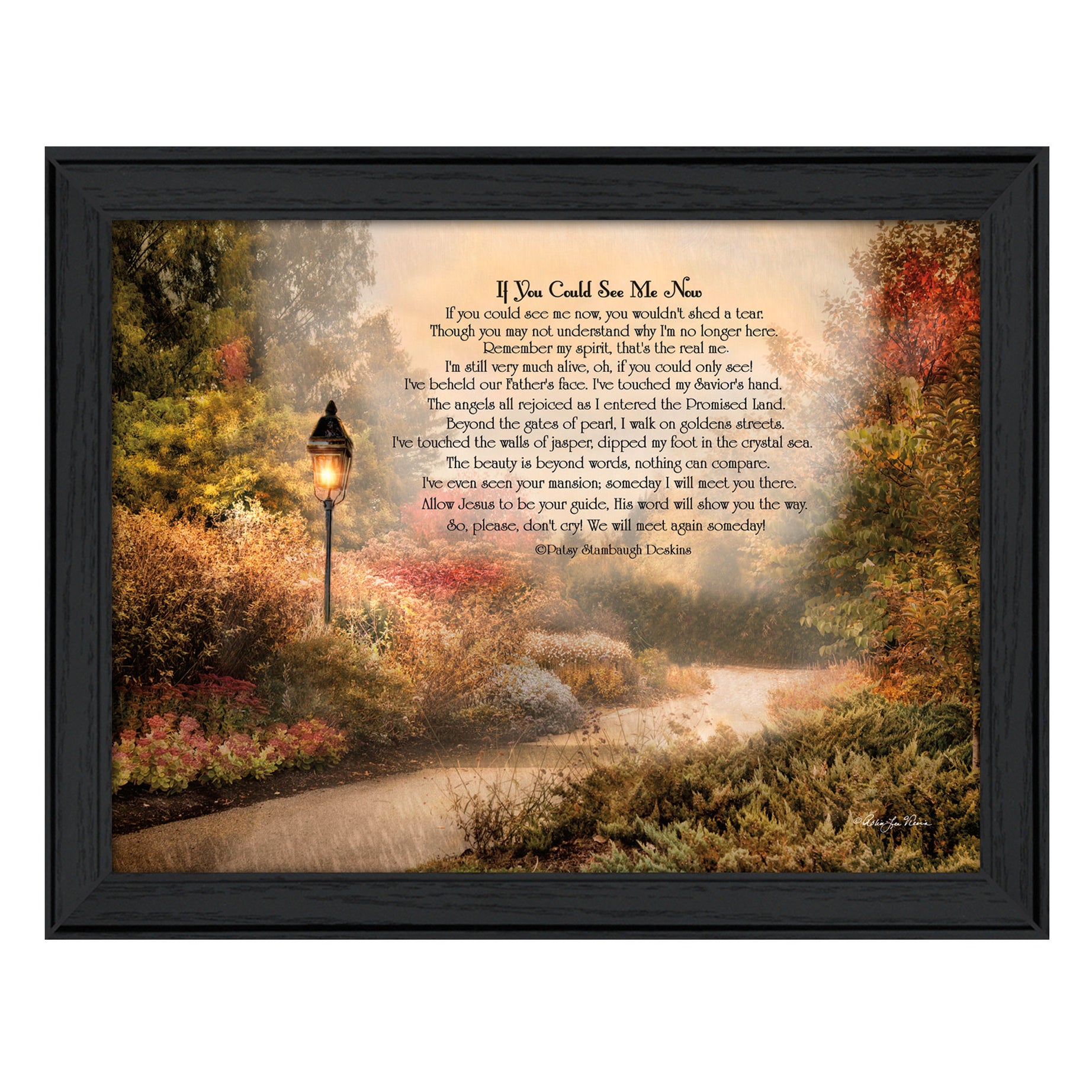 "If You Could See Me Now" By Robin-Lee Vieira, Printed Wall Art, Ready To Hang Framed Poster, Black Frame--1