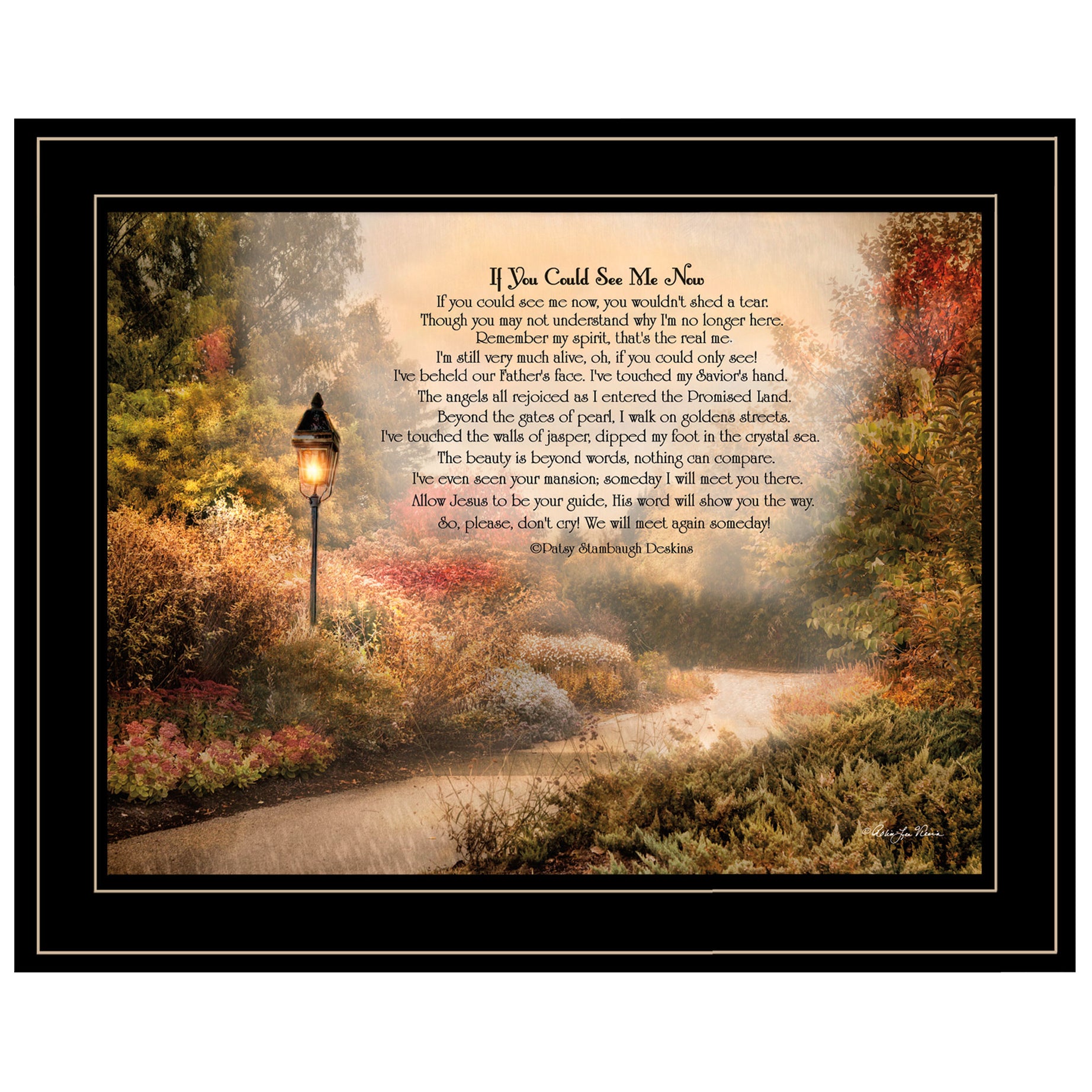 "If You Could See Me Now" By Robin Lee Vieira, Ready to Hang Framed Print, Black Frame--1