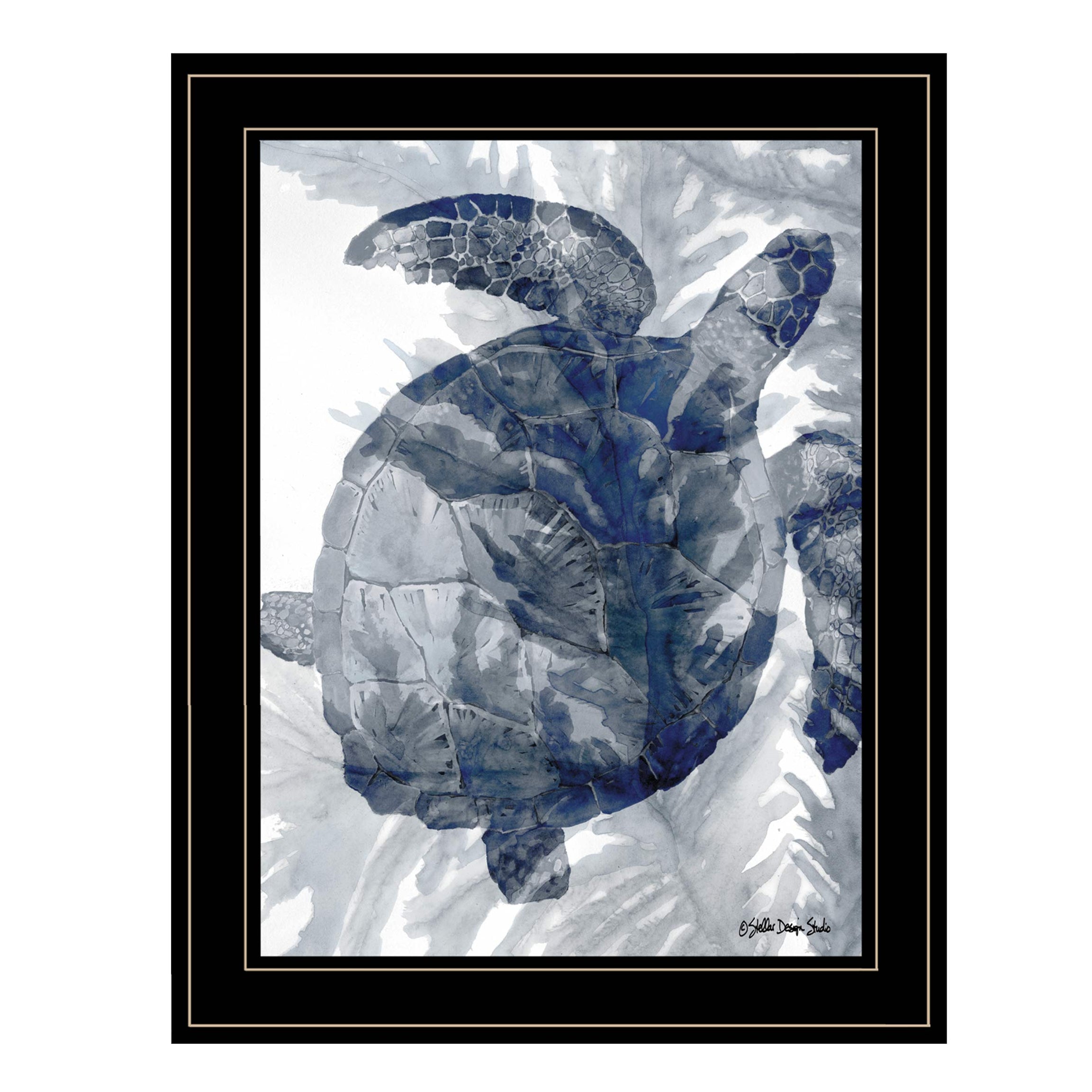 "Ocean Collection 3" By Stellar Design Studio, Ready to Hang Framed Print, Black Frame--1