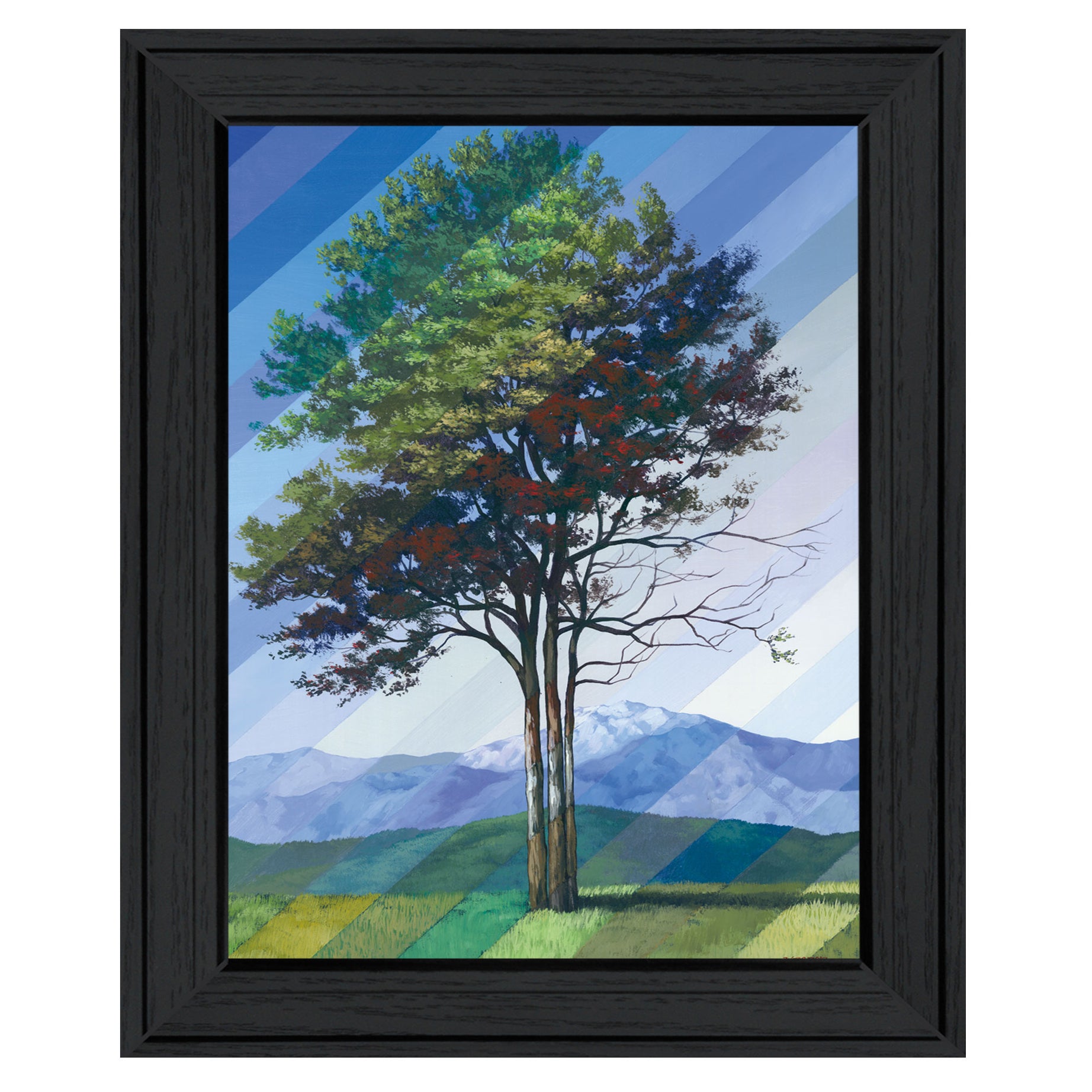 "Catching Light as Time Passes" by Tim Gagnon, Ready to Hang Framed Print, Black Frame--1