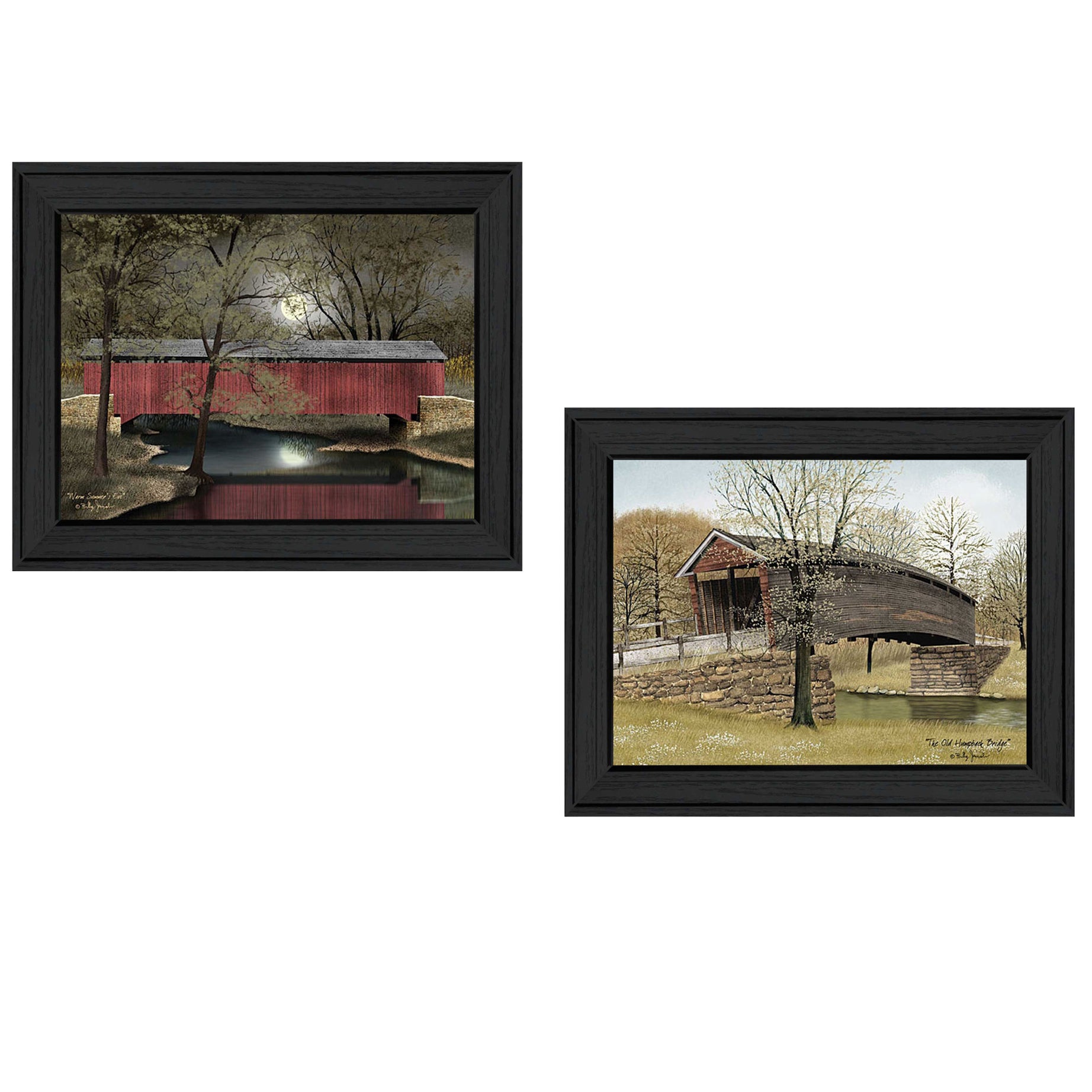 Trendy Decor 4U "Bridges" Framed Wall Art, Modern Home Decor Framed Print for Living Room, Bedroom & Farmhouse Wall Decoration by Billy Jacobs--1