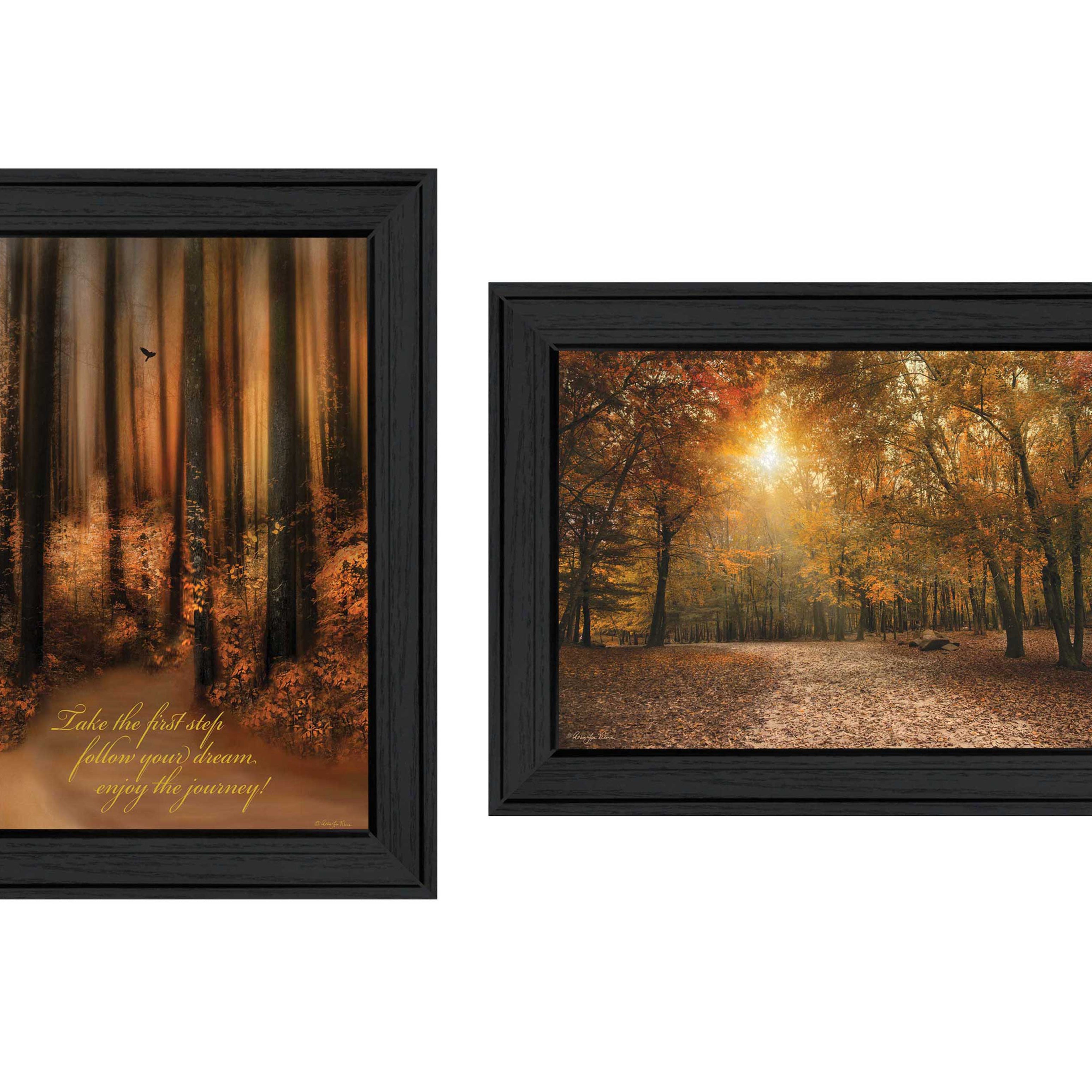 "Autumn Collection" 2-Piece Vignette By Robin-Lee Vieira, Printed Wall Art, Ready To Hang Framed Poster, Black Frame--1