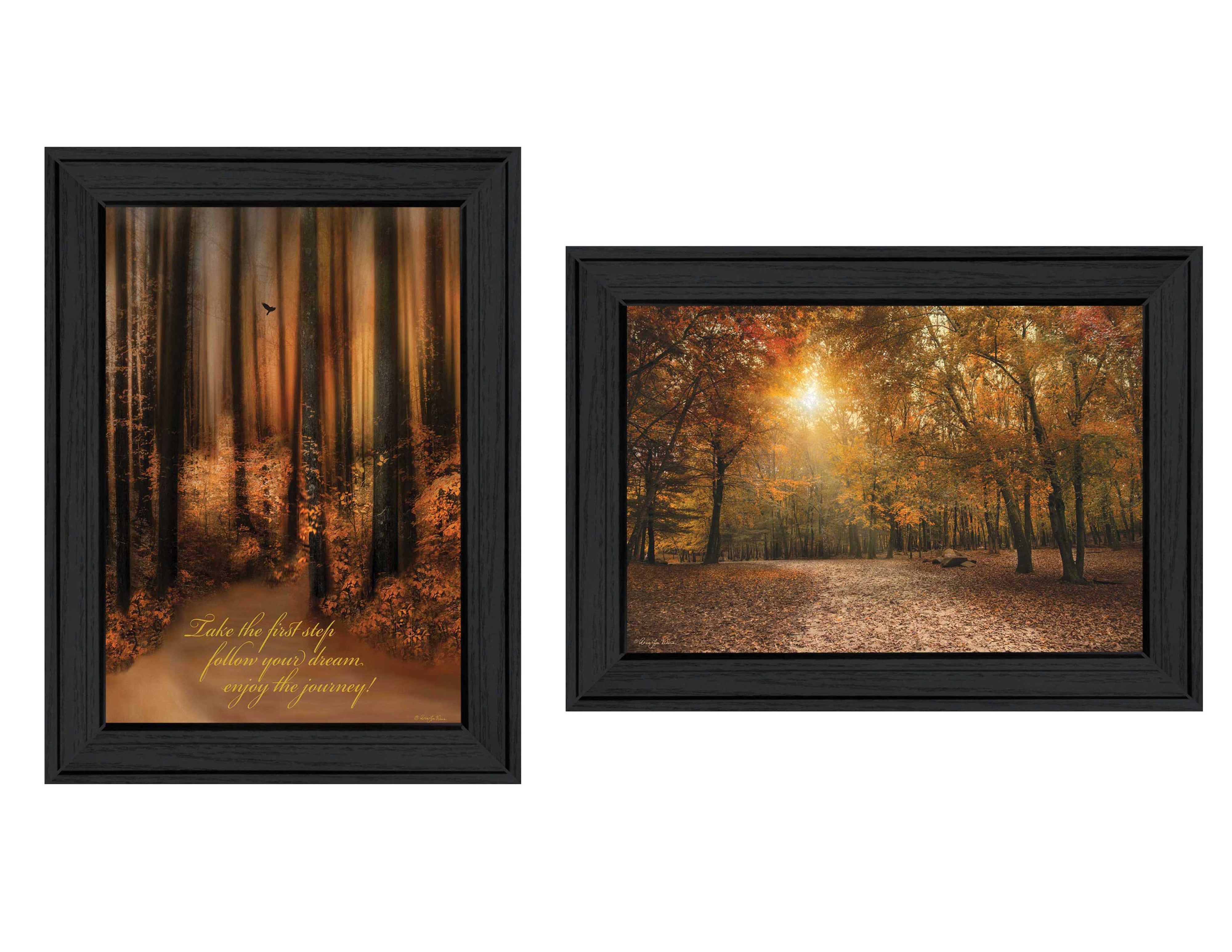 "Autumn Collection" 2-Piece Vignette By Robin-Lee Vieira, Printed Wall Art, Ready To Hang Framed Poster, Black Frame--1