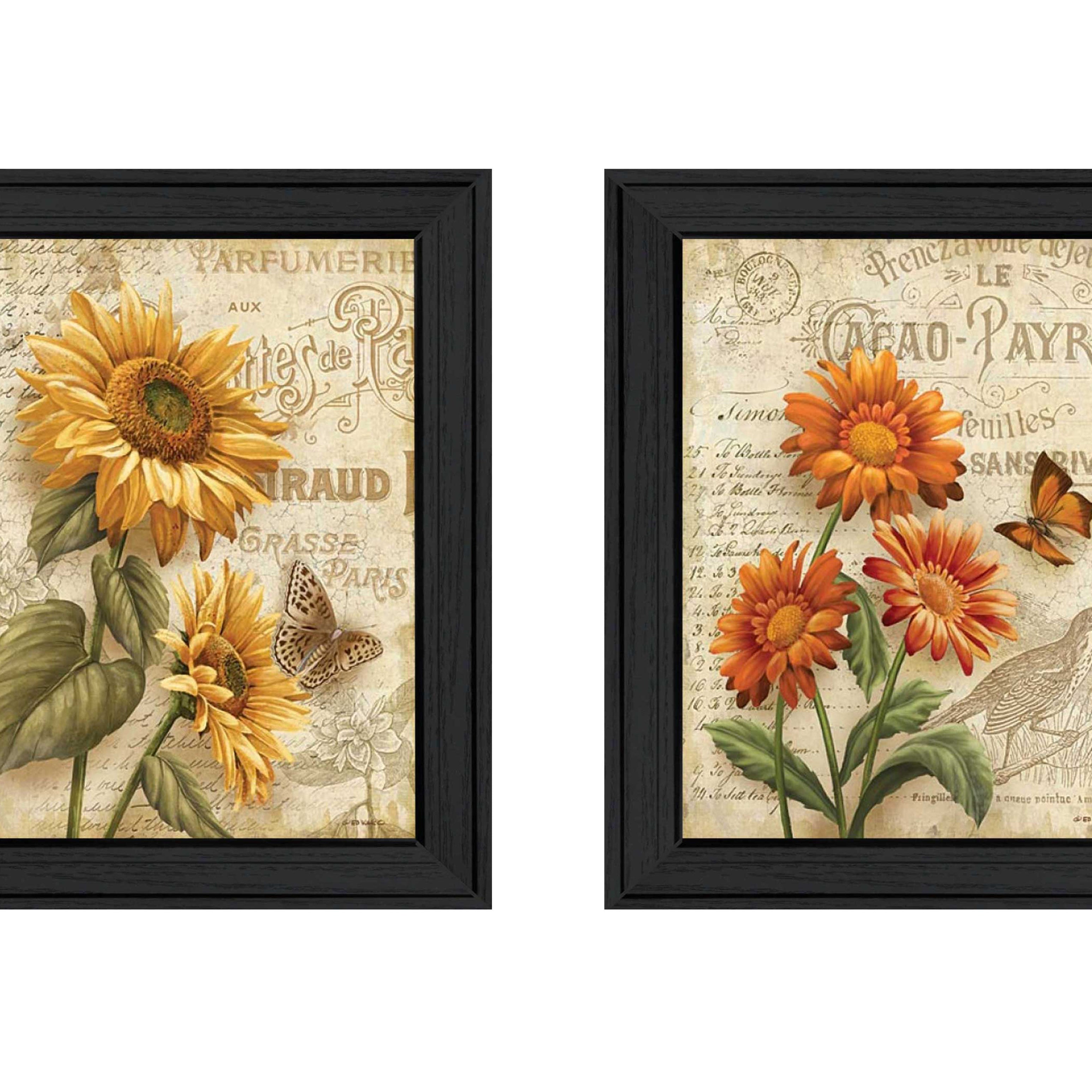 "Flowers Collection" 2-Piece Vignette By Ed Wargo, Printed Wall Art, Ready To Hang Framed Poster, Black Frame--1