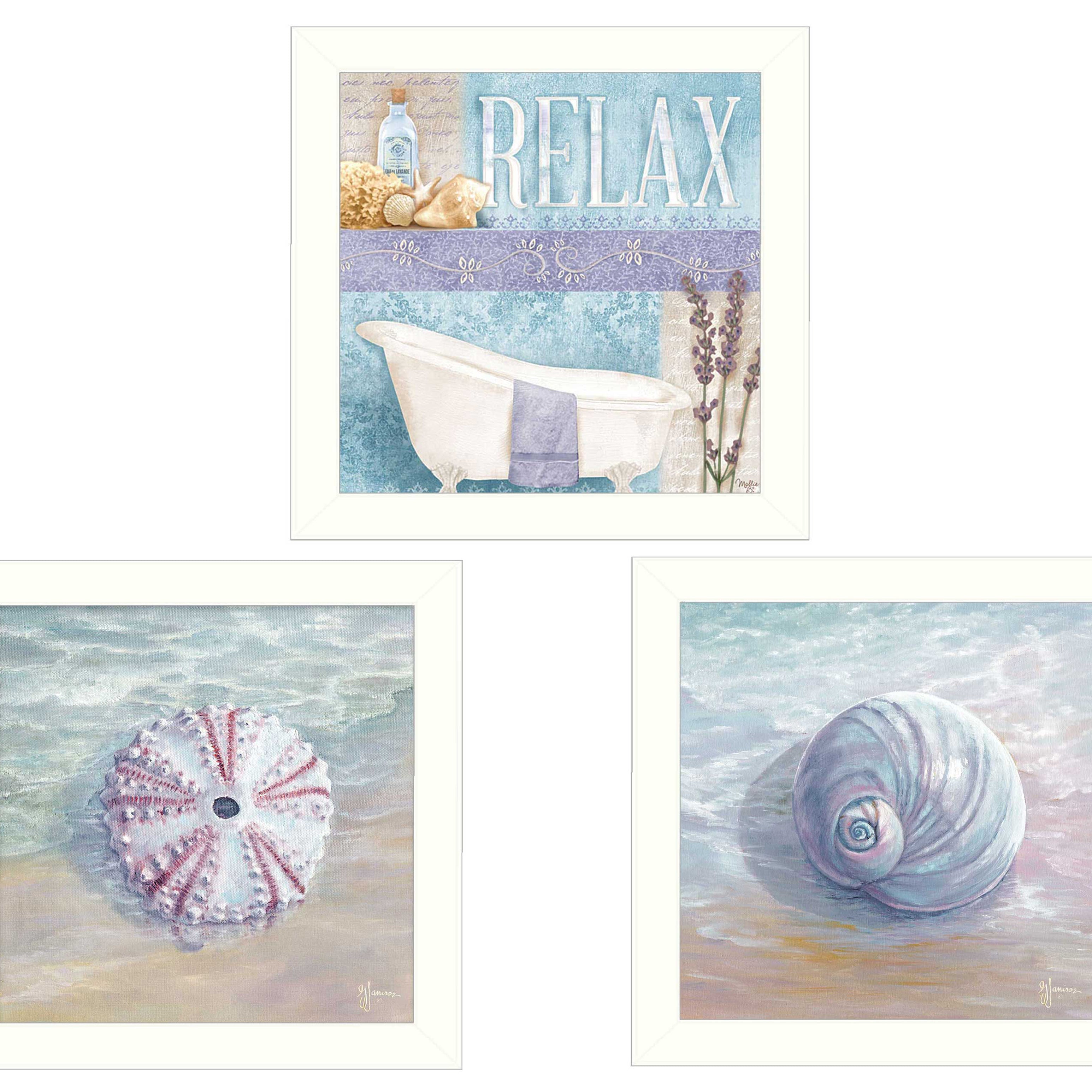 "Shells I Collection" 3-Piece Vignette By Mollie B. and G. Janisse, Printed Wall Art, Ready To Hang Framed Poster, White Frame--1