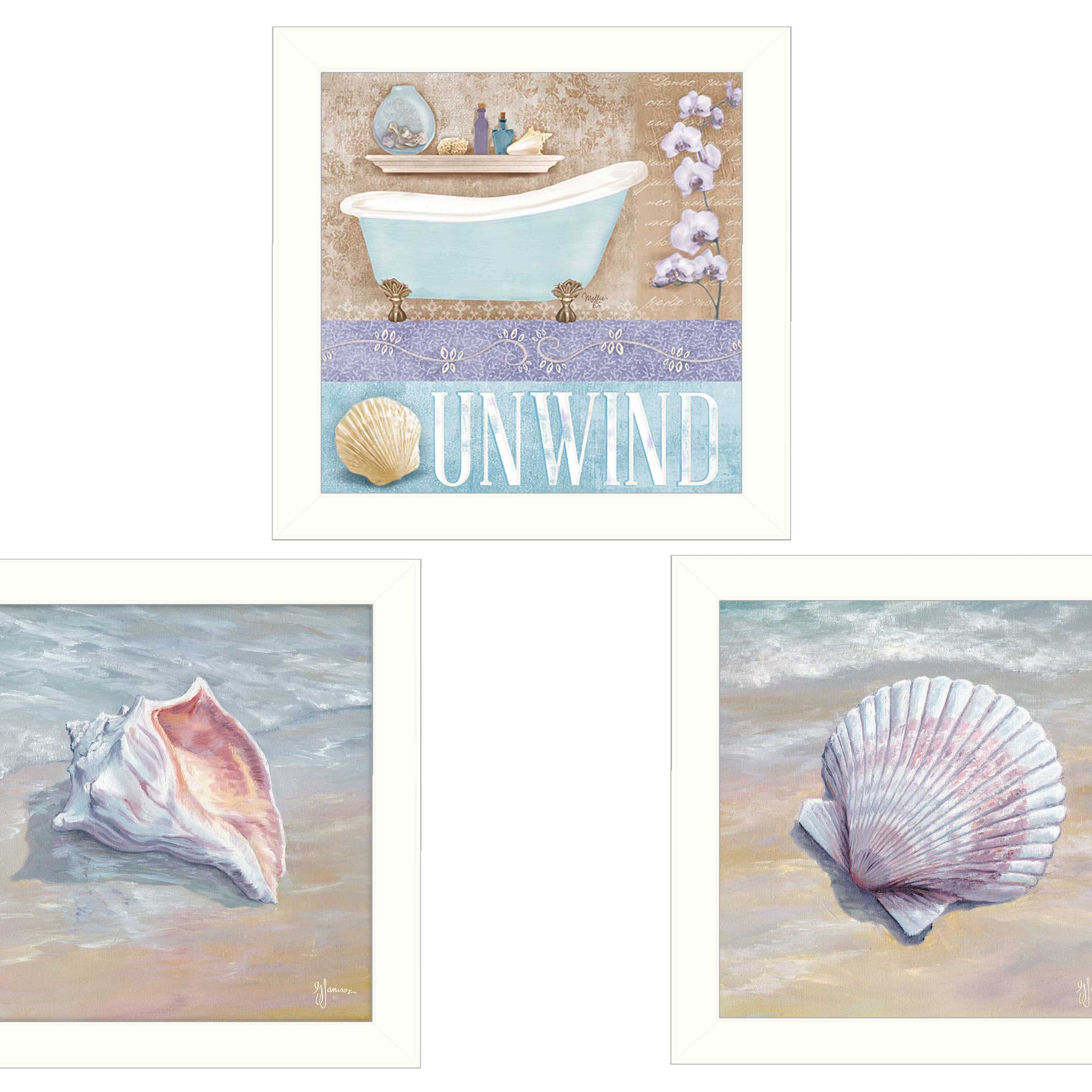 "Shells II Collection" 3-Piece Vignette By Mollie B. and G. Janisse, Printed Wall Art, Ready To Hang Framed Poster, White Frame--1