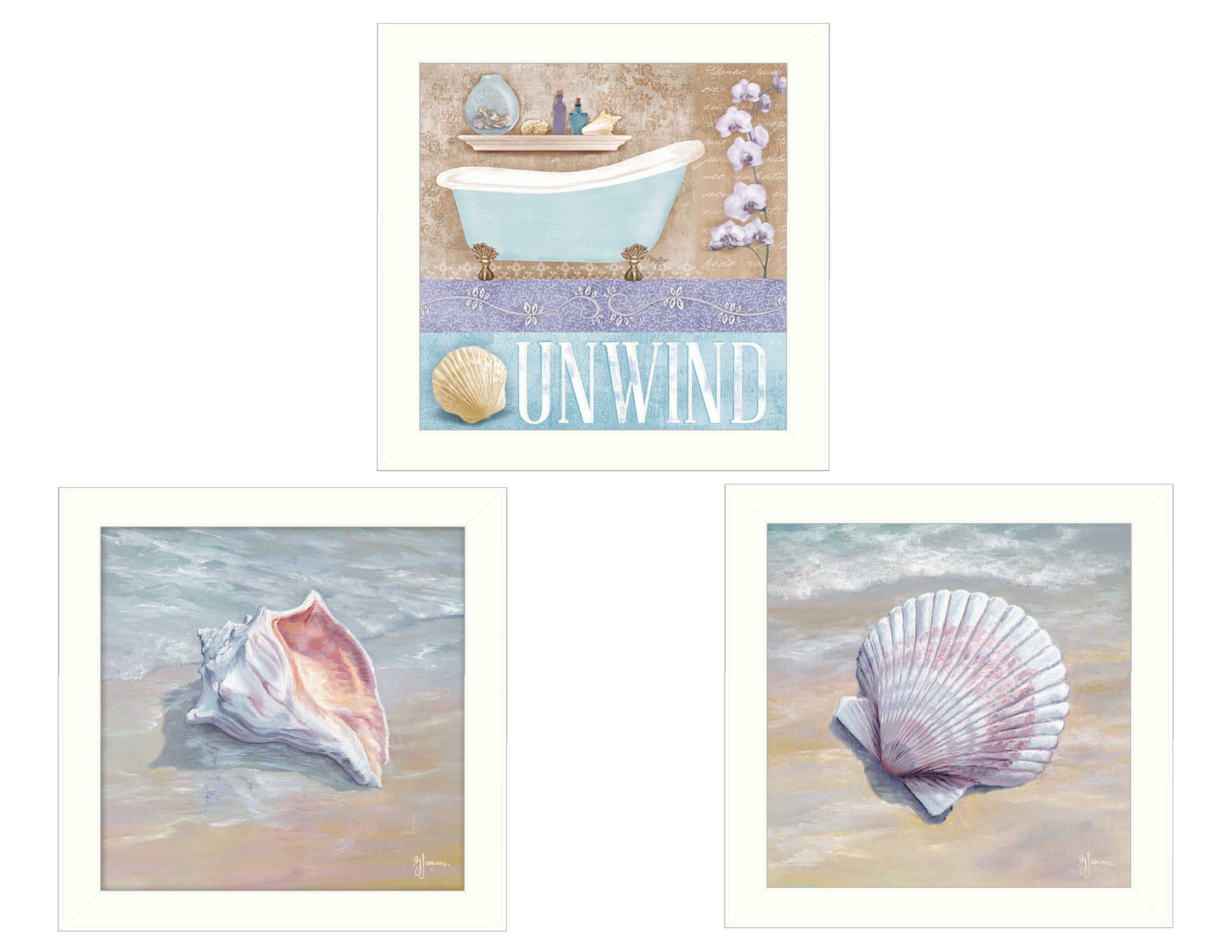 "Shells II Collection" 3-Piece Vignette By Mollie B. and G. Janisse, Printed Wall Art, Ready To Hang Framed Poster, White Frame--1