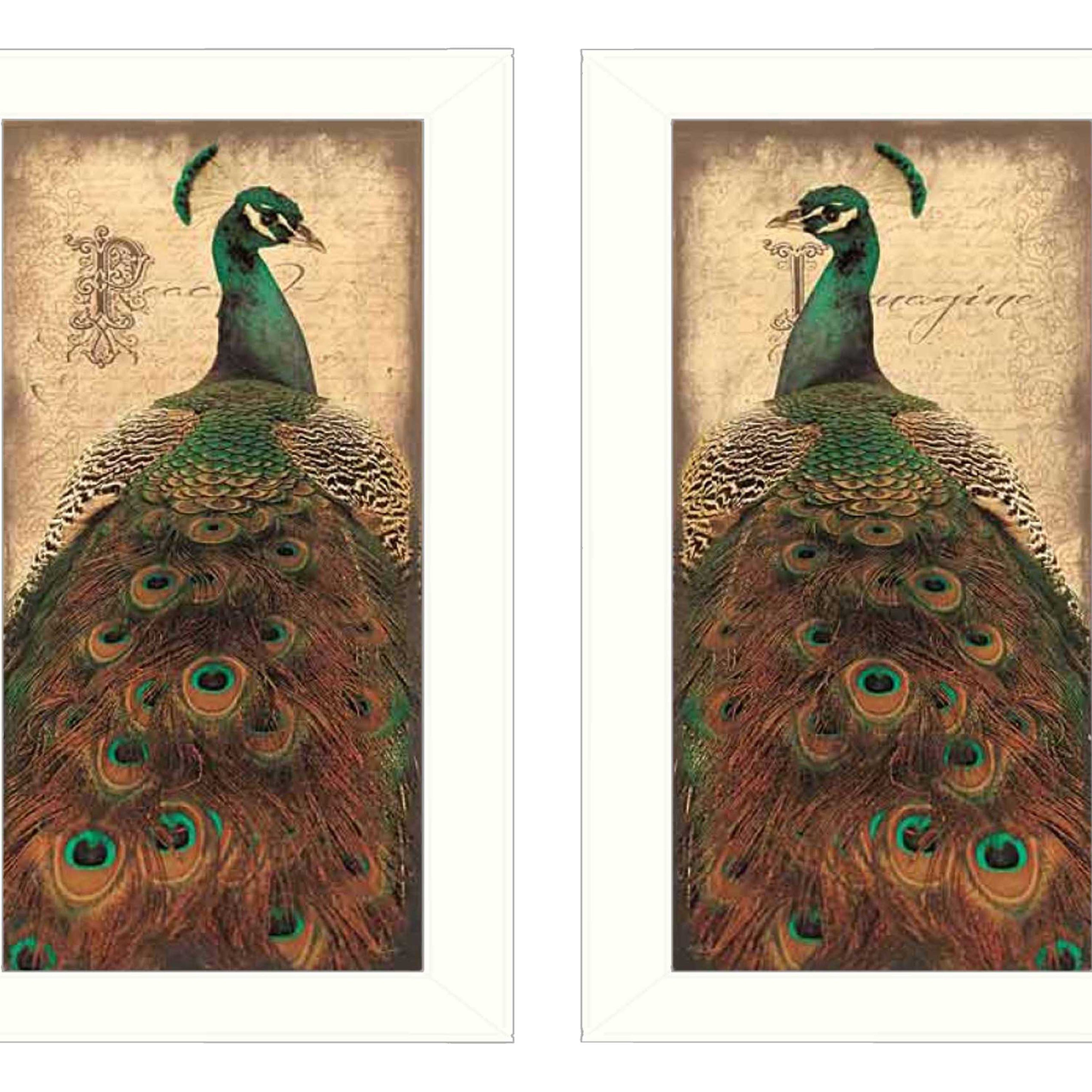 "Peacock Collection" 2-Piece Vignette By John Jones, Printed Wall Art, Ready To Hang Framed Poster, White Frame--1