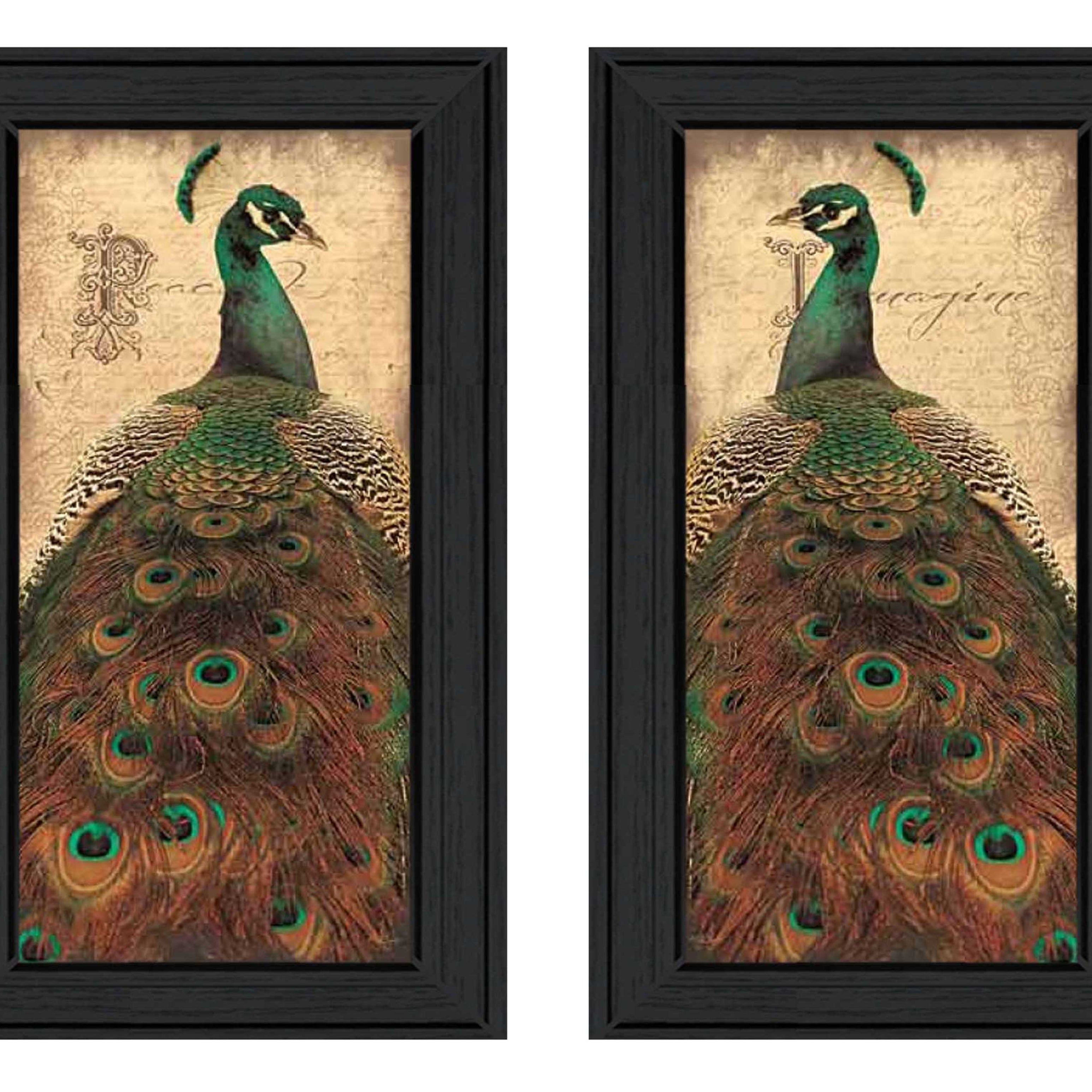 "Peacock Collection" 2-Piece Vignette By John Jones, Printed Wall Art, Ready To Hang Framed Poster, Black Frame--1