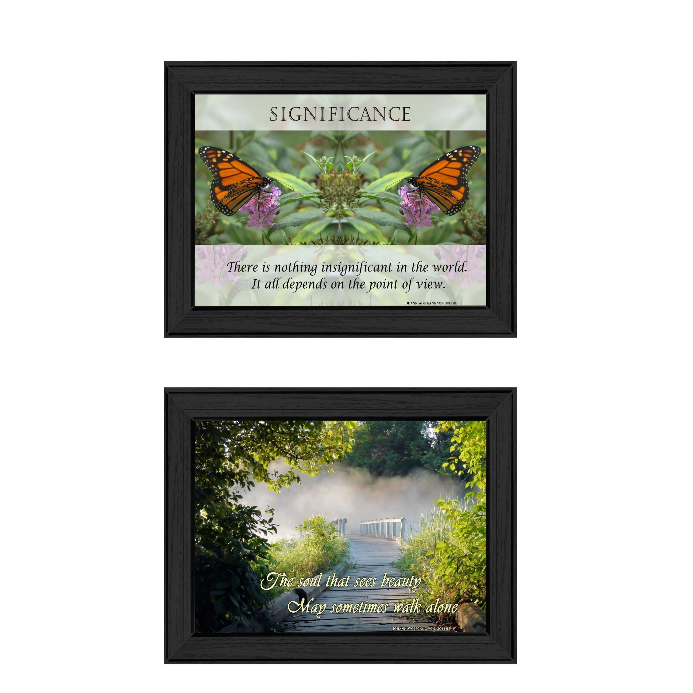 "Beauty Collection" 2-Piece Vignette By Trendy Decor4U, Printed Wall Art, Ready To Hang Framed Poster, Black Frame--1