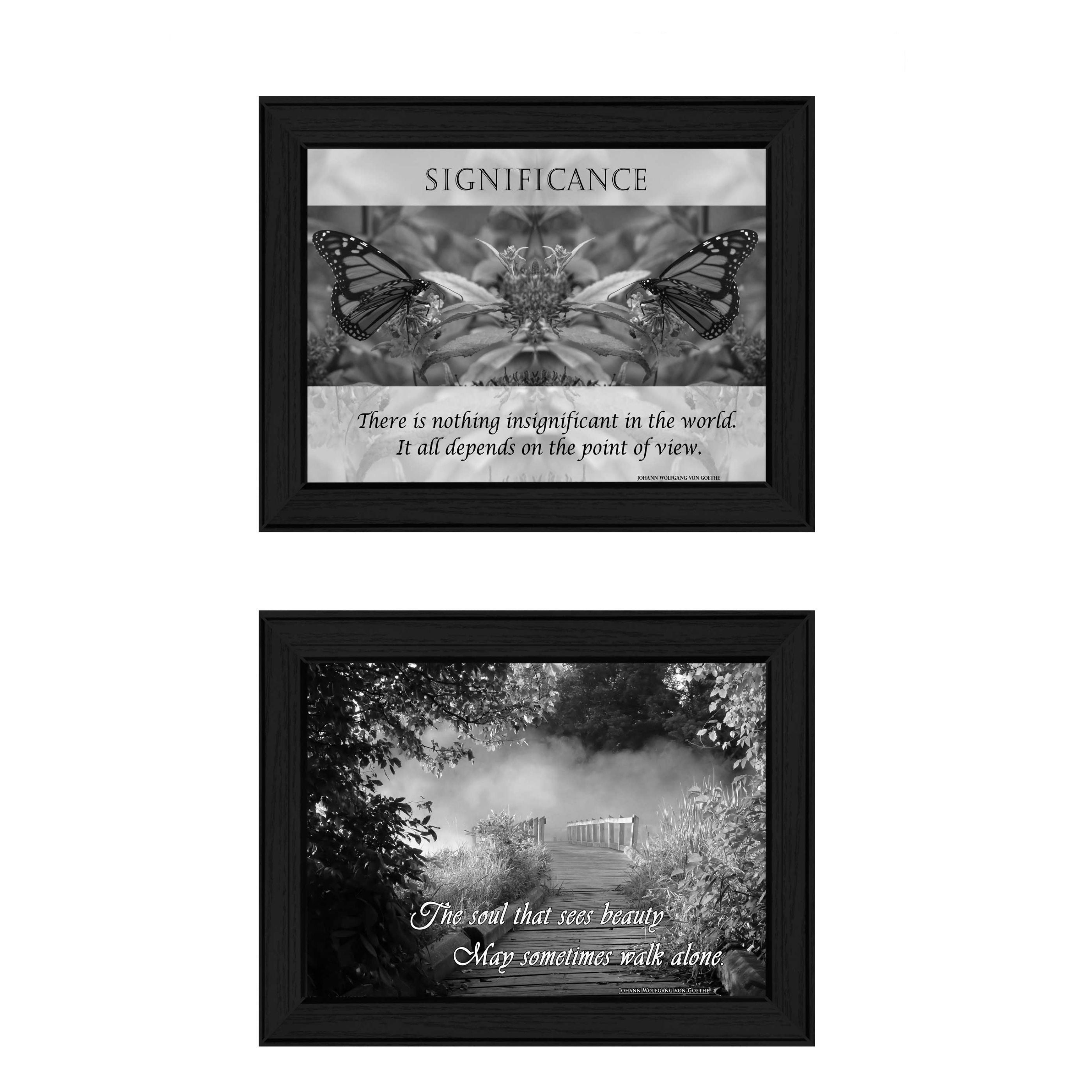 "Beauty Collection" 2-Piece Vignette By Trendy Decor4U, Printed Wall Art, Ready To Hang Framed Poster, Black Frame--1