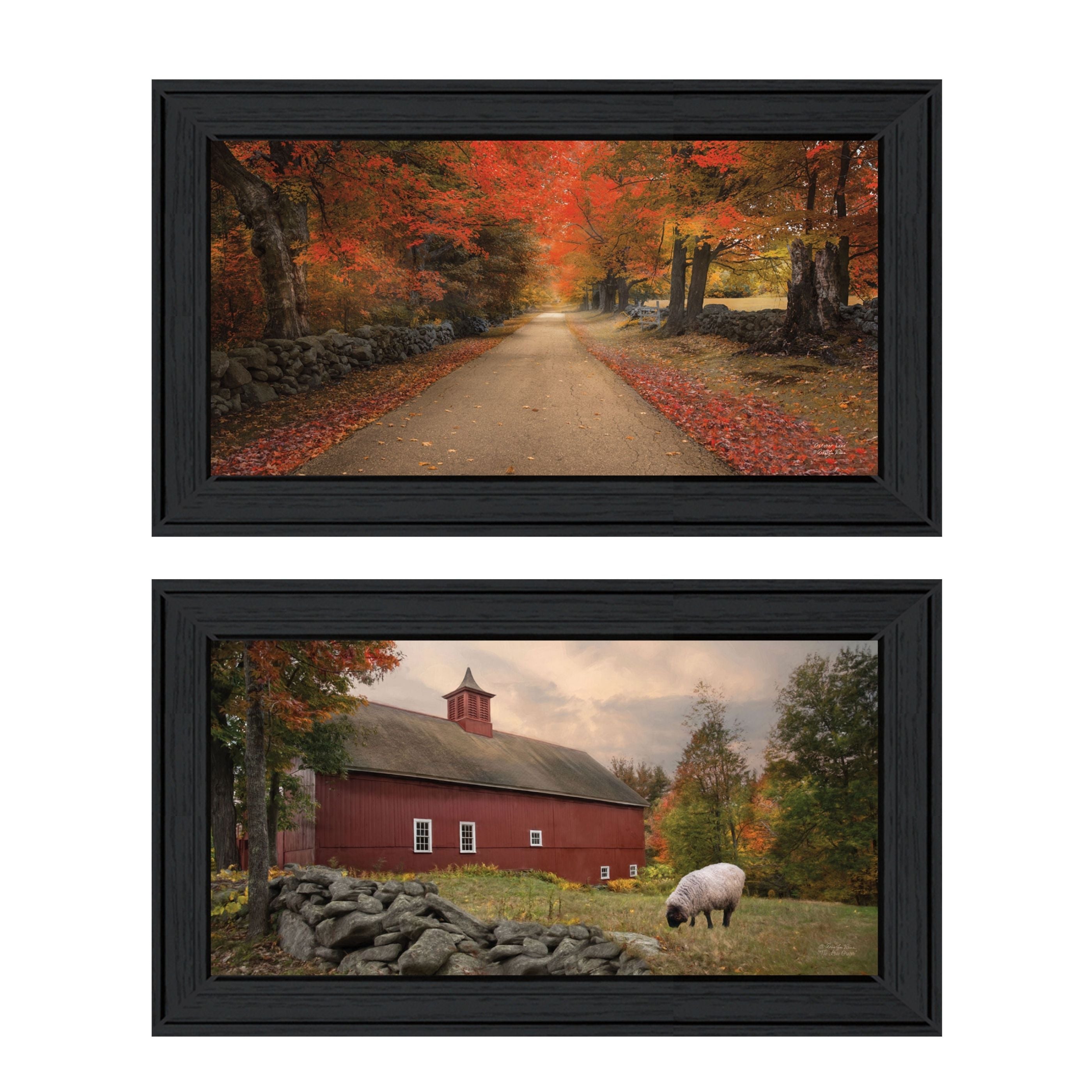 "October Lane Collection" 2-Piece Vignette By Robin-Lee Vieira, Printed Wall Art, Ready To Hang Framed Poster, Black Frame--1