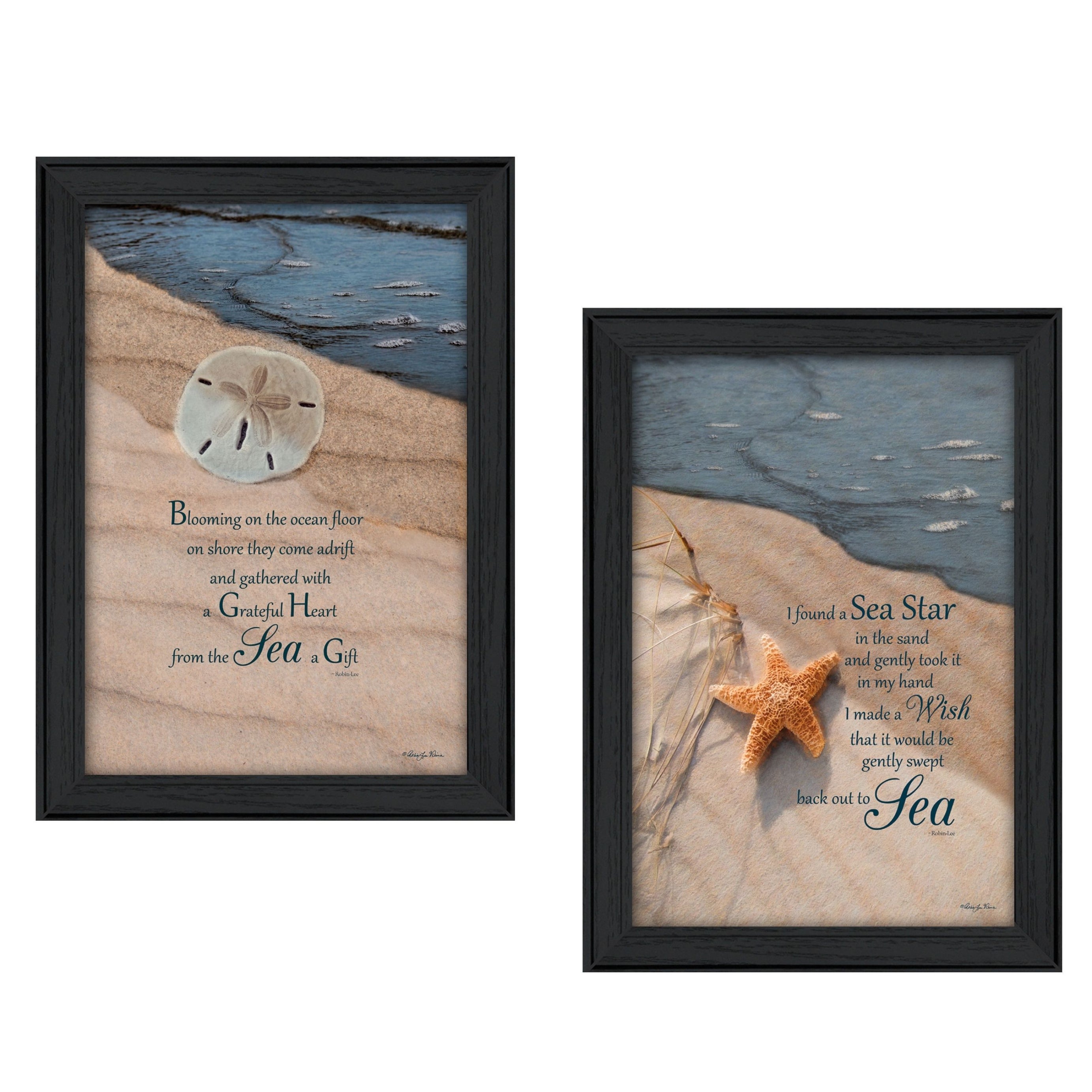 "A Gift from the Sea Collection" 2-Piece Vignette By Robin-Lee Vieira, Printed Wall Art, Ready To Hang Framed Poster, Black Frame--1