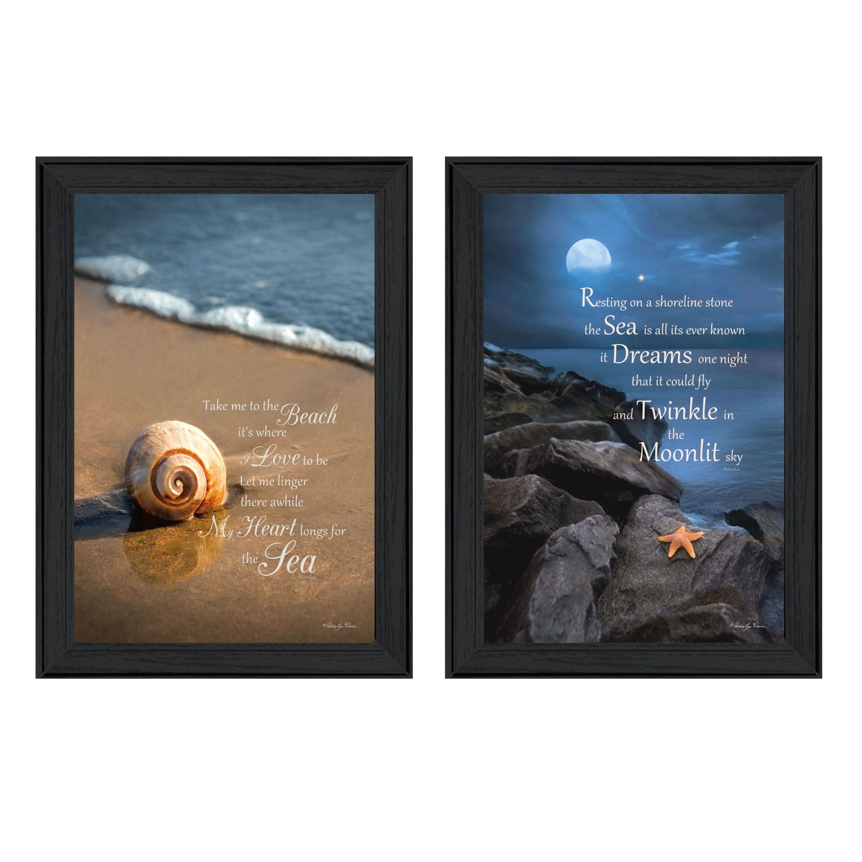 "Sea Dream Collection" 2-Piece Vignette By Robin-Lee Vieira, Printed Wall Art, Ready To Hang Framed Poster, Black Frame--1