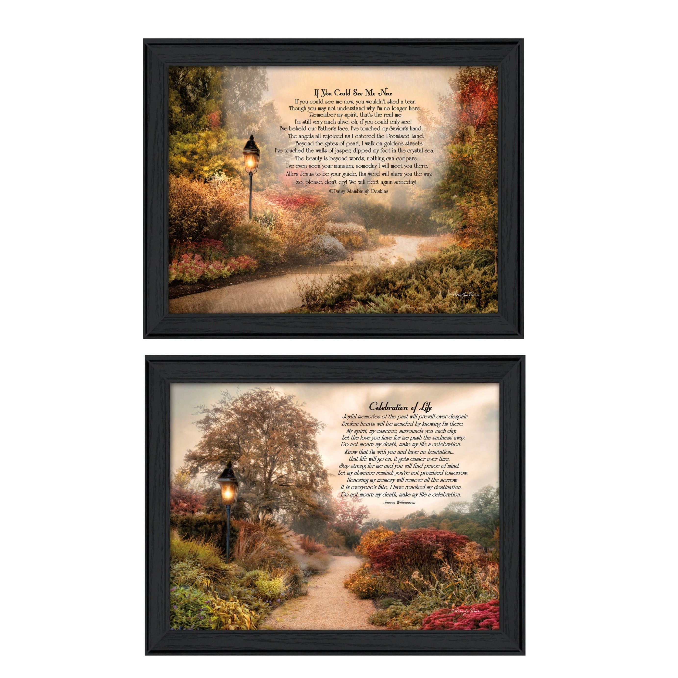 "Celebration of Life Collection" 2-Piece Vignette By Robin-Lee Vieira, Printed Wall Art, Ready To Hang Framed Poster, Black Frame--1