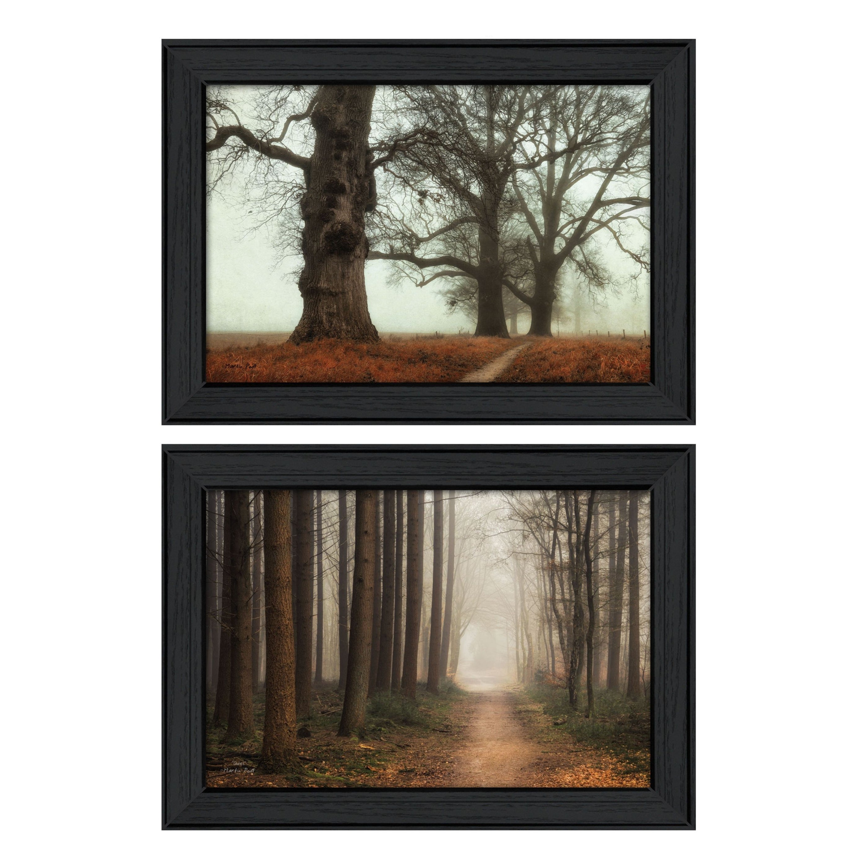 "Misty Trees Collection" 2-Piece Vignette By Martin Podt, Printed Wall Art, Ready To Hang Framed Poster, Black Frame--1