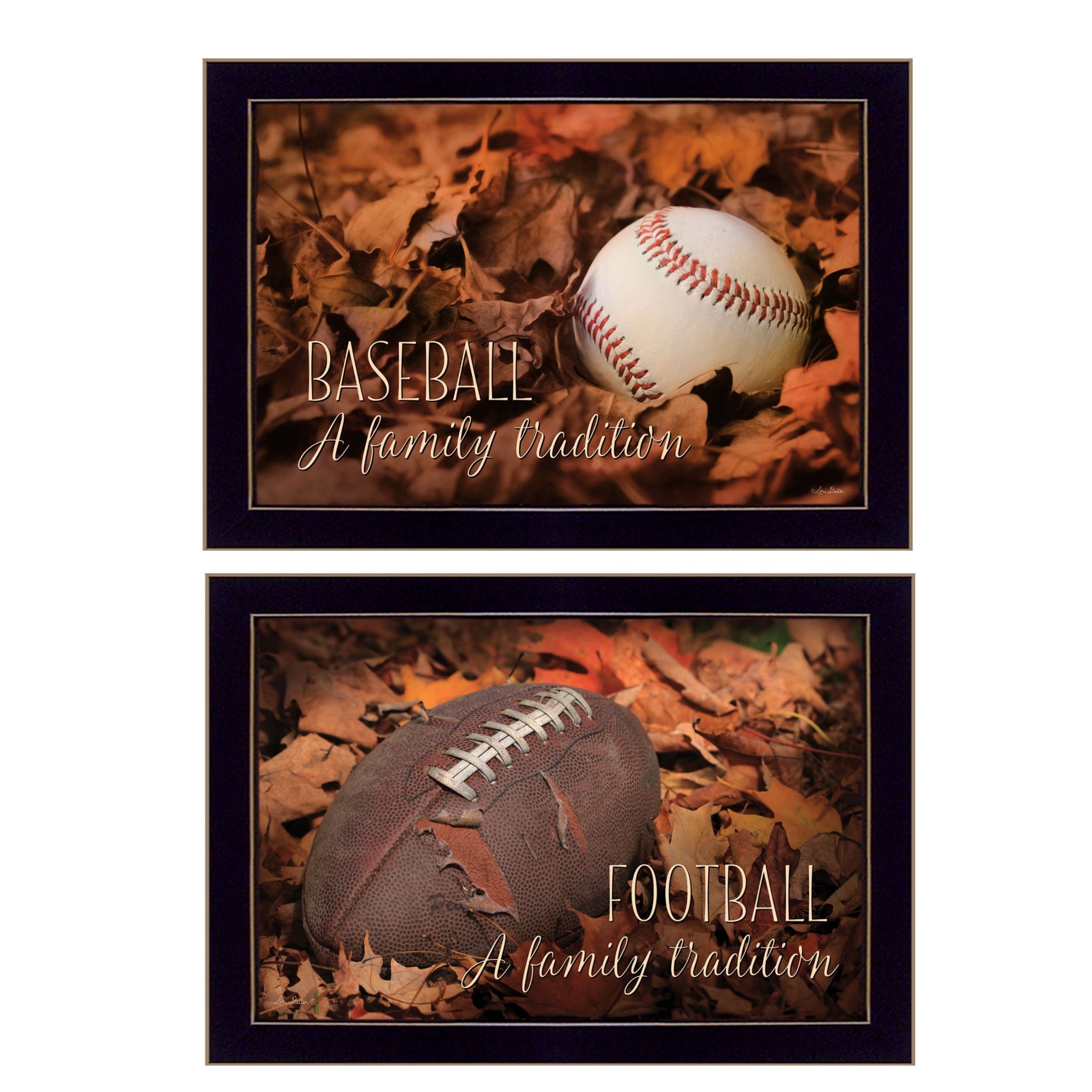 "Baseball and Football Collection" 2-Piece Vignette By Lori Deiter, Printed Wall Art, Ready To Hang Framed Poster, Black Frame--1