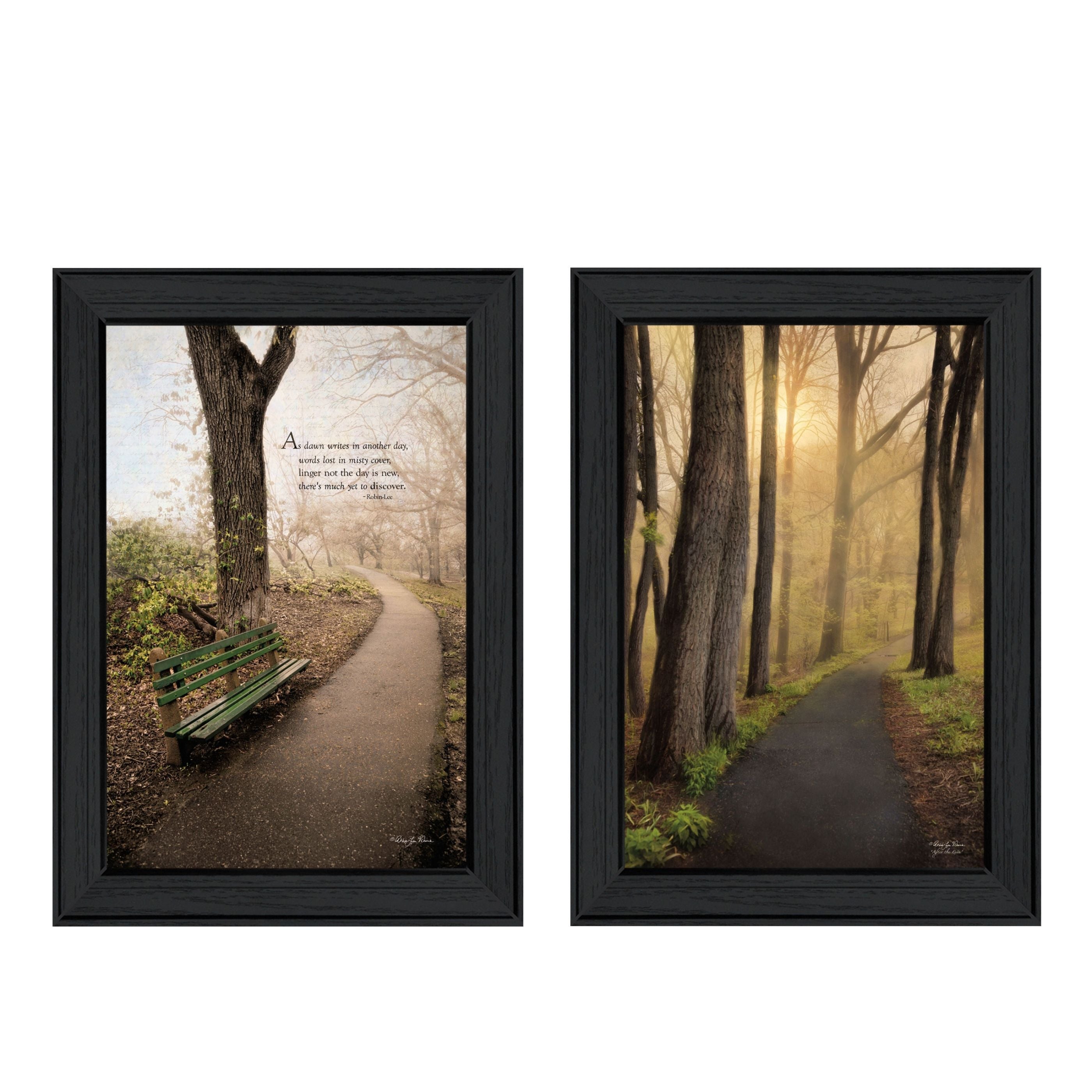 "After The Rain Collection" 2-Piece Vignette By Robin-Lee Vieira, Printed Wall Art, Ready To Hang Framed Poster, Black Frame--1