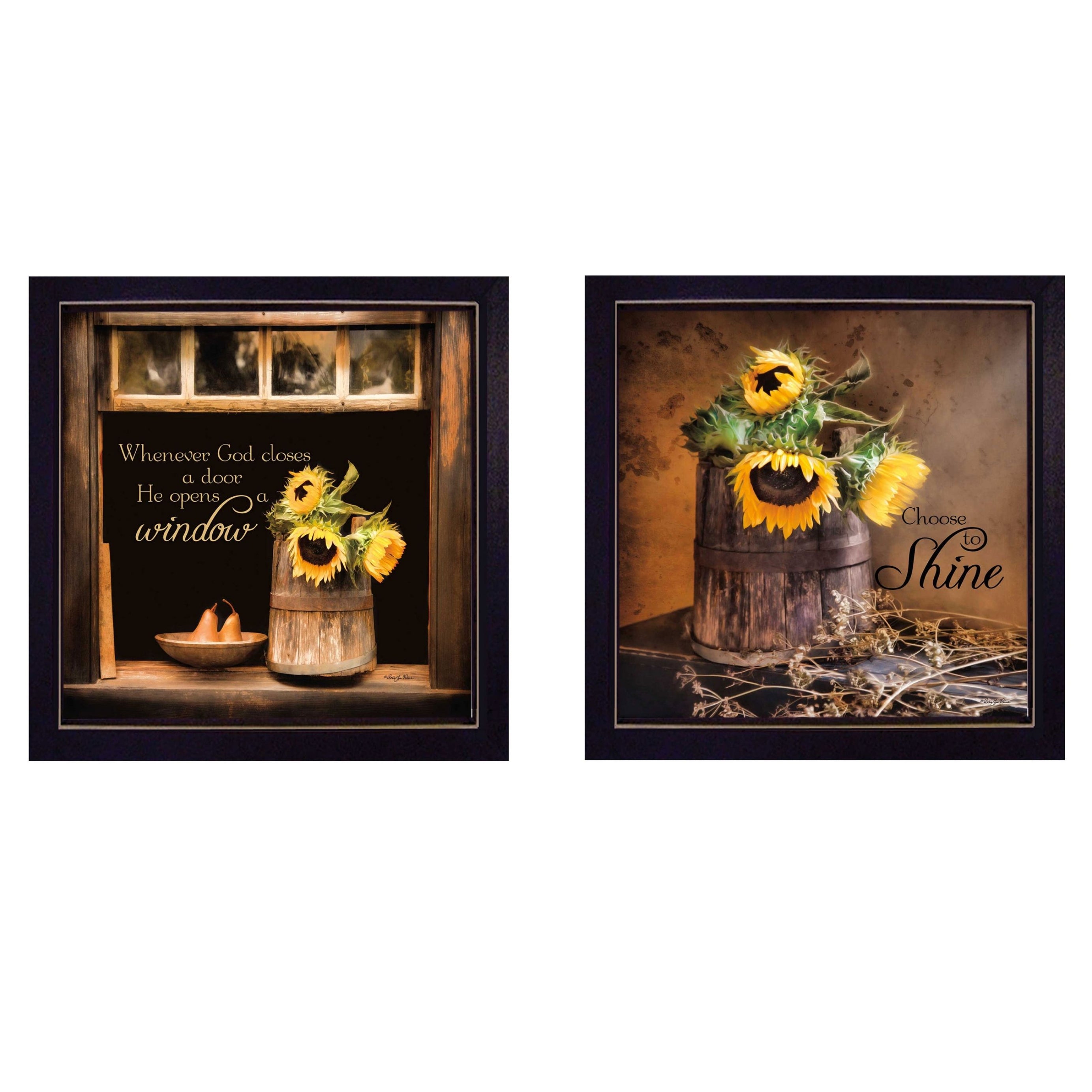 "Sunny Windows" 2-Piece Vignette by Robin-Lee Vieira, Black Frame--1