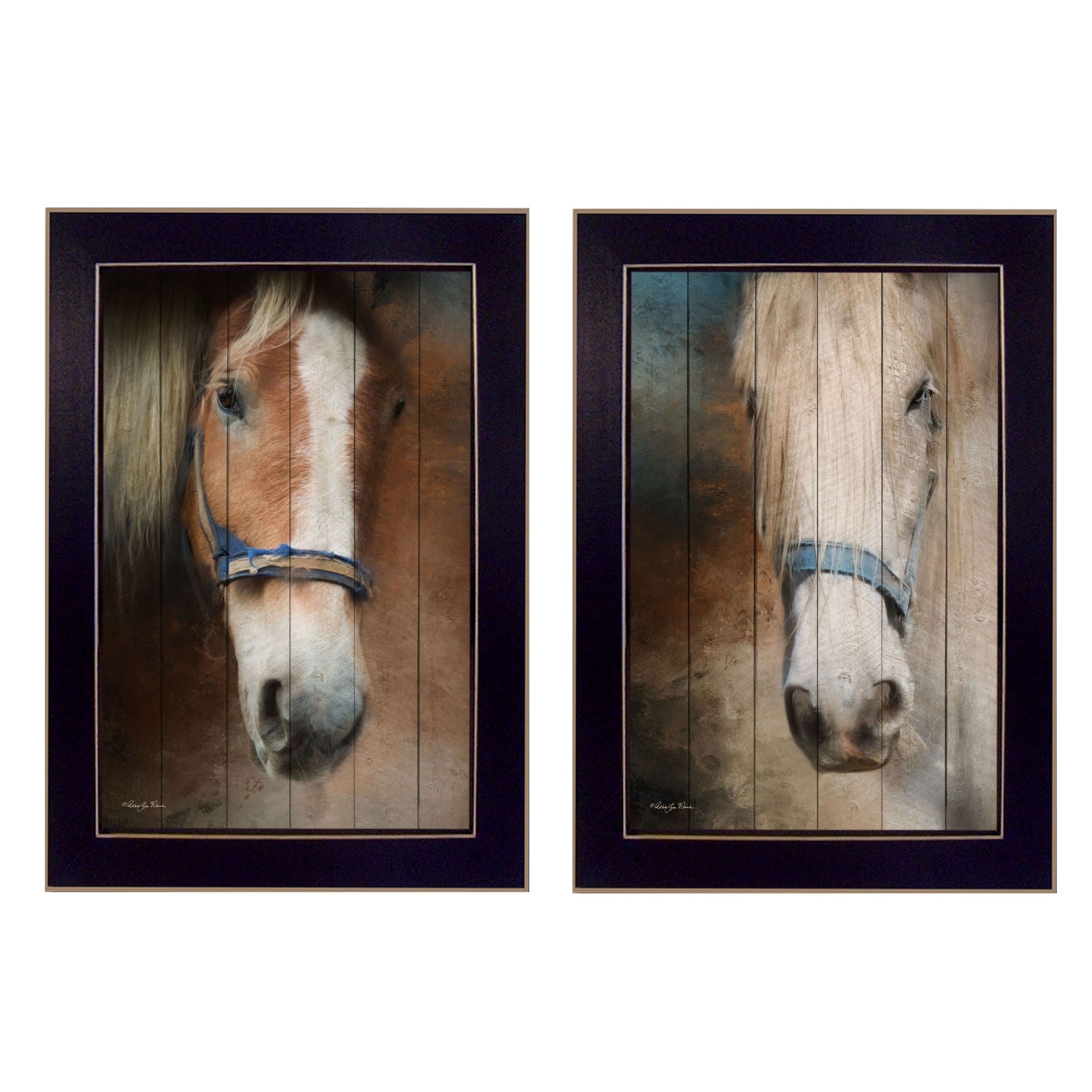 "Two Horses Collection" 2-Piece Vignette By Robin-Lee Vieira, Printed Wall Art, Ready To Hang Framed Poster, Black Frame--1