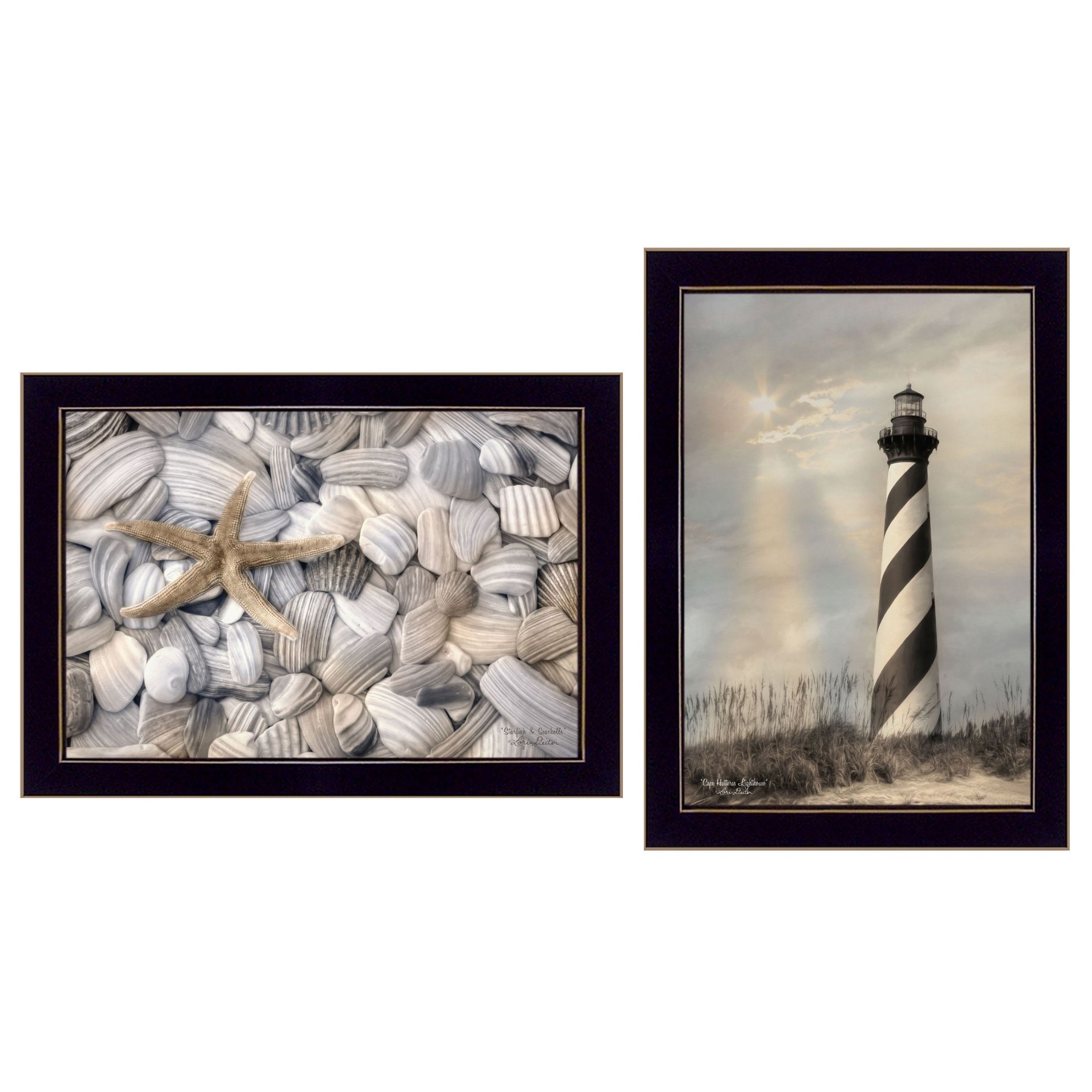 "Cape Hatteras Lighthouse and Sea Shells Collection" 2-Piece Vignette By Lori Deiter, Printed Wall Art, Ready To Hang Framed Poster, Black Frame--1