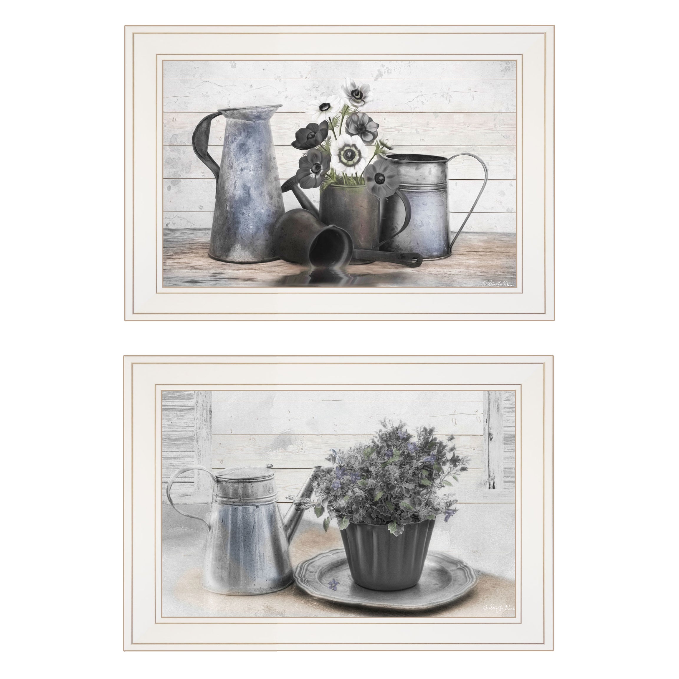 "Floral with Tin Ware" 2-Piece Vignette by Robin-Lee Vieira, White Frame--1