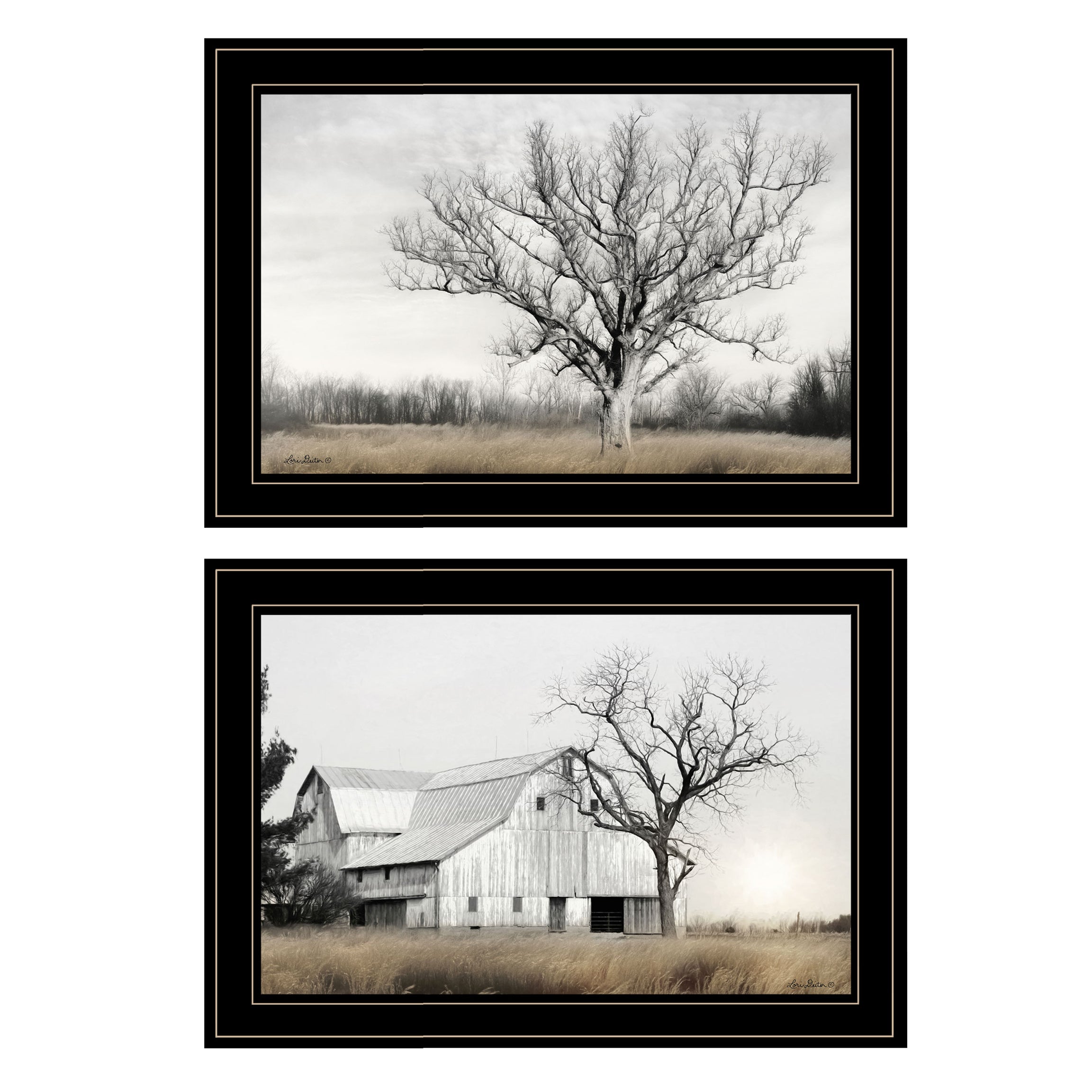 Trendy Decor 4U "Ohio Fields I" Framed Wall Art, Modern Home Decor Framed Print for Living Room, Bedroom & Farmhouse Wall Decoration by Lori Deiter--1