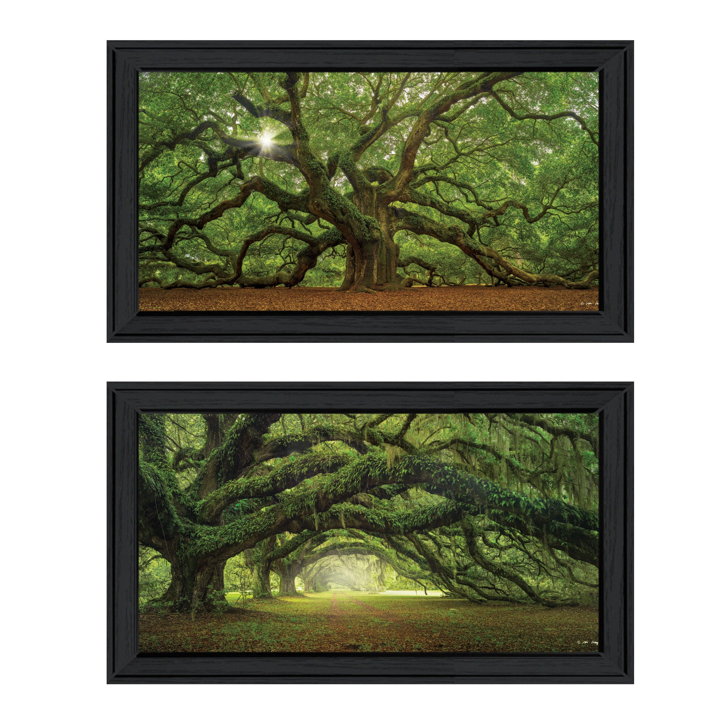 "Tree Arbors" 2-Piece Vignette by Moises Levy, Black Frame--1