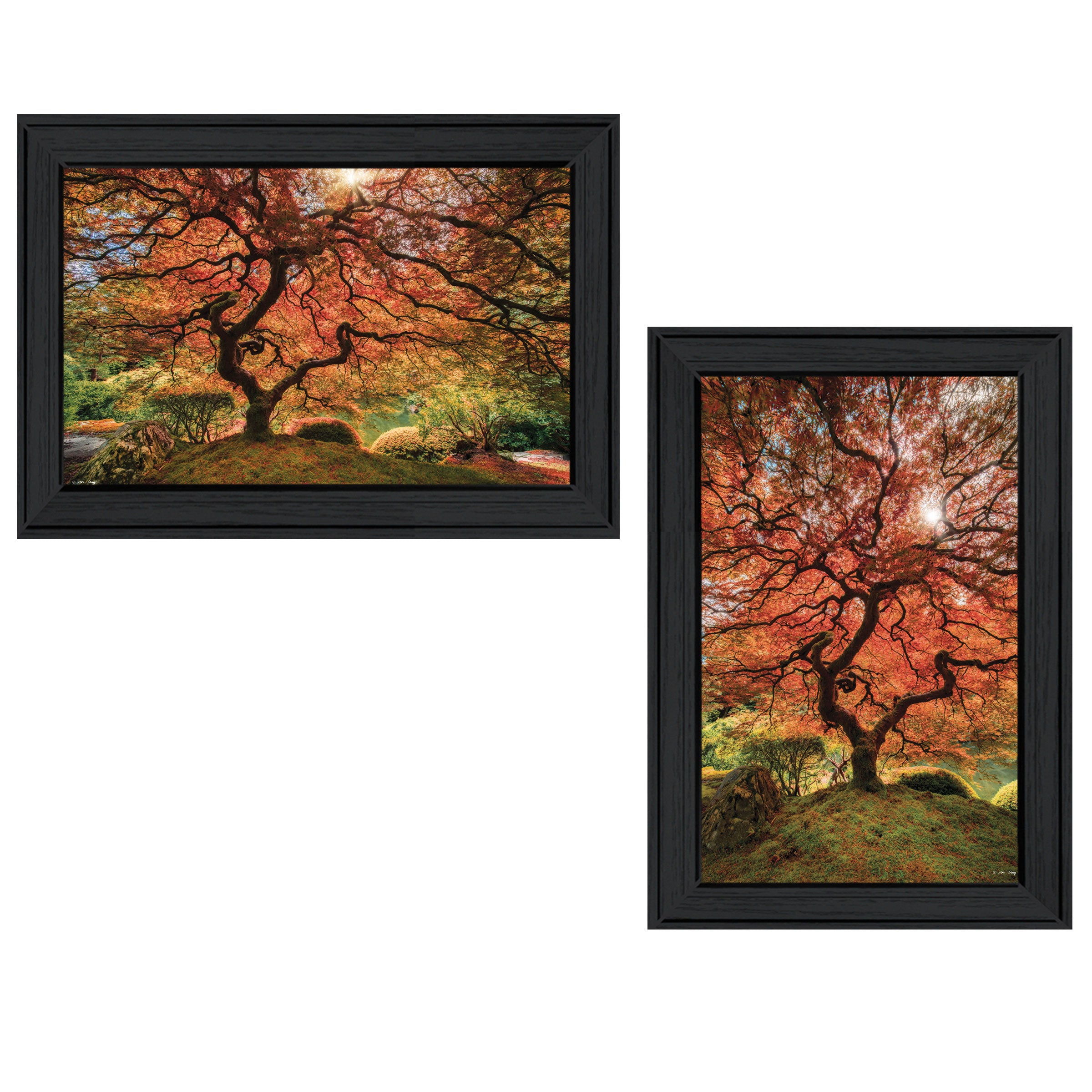 "First Colors of Fall II" 2-Piece Vignette by Moises Levy, Black Frame--1