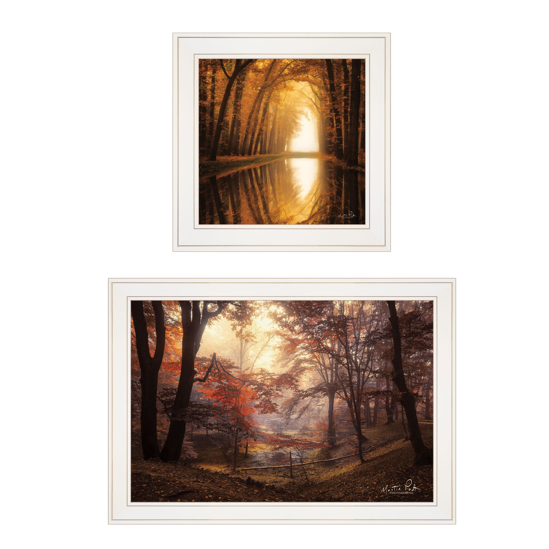 "Nature's Reflections" 2-Piece Vignette by Martin Podt, White Frame--1