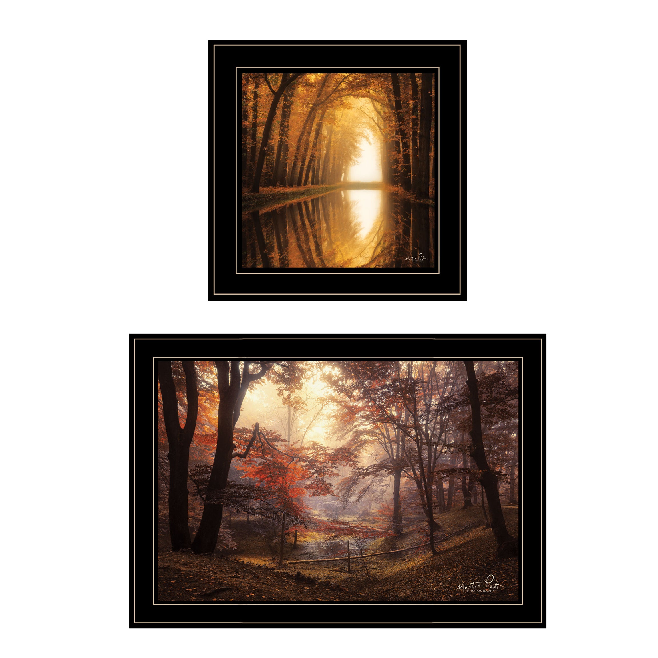 "Nature's Reflections" 2-Piece Vignette by Martin Podt, Black Frame--1