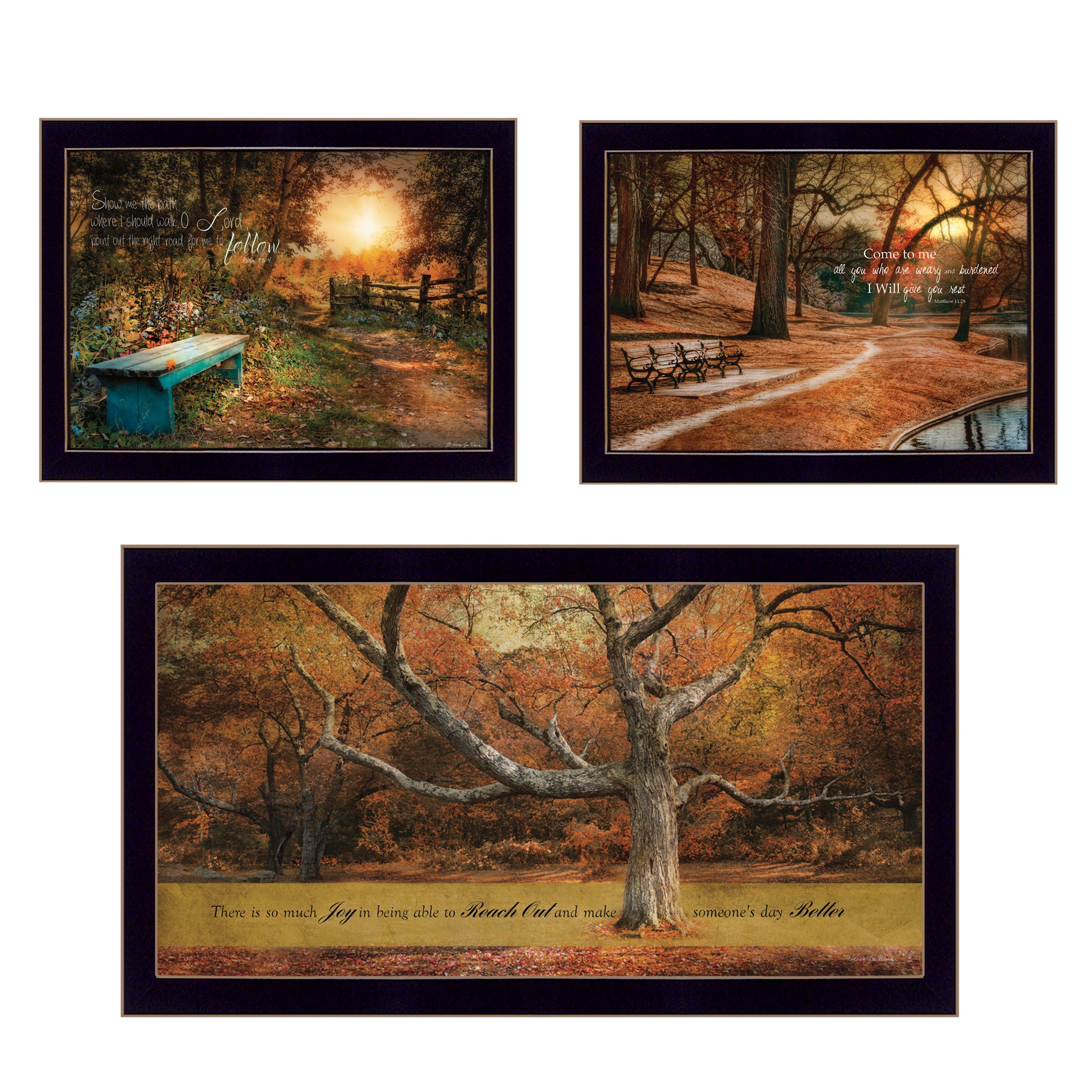 "Tranquil Spaces" 3-Piece Vignette by Robin-Lee Vieira, Black Frame--1