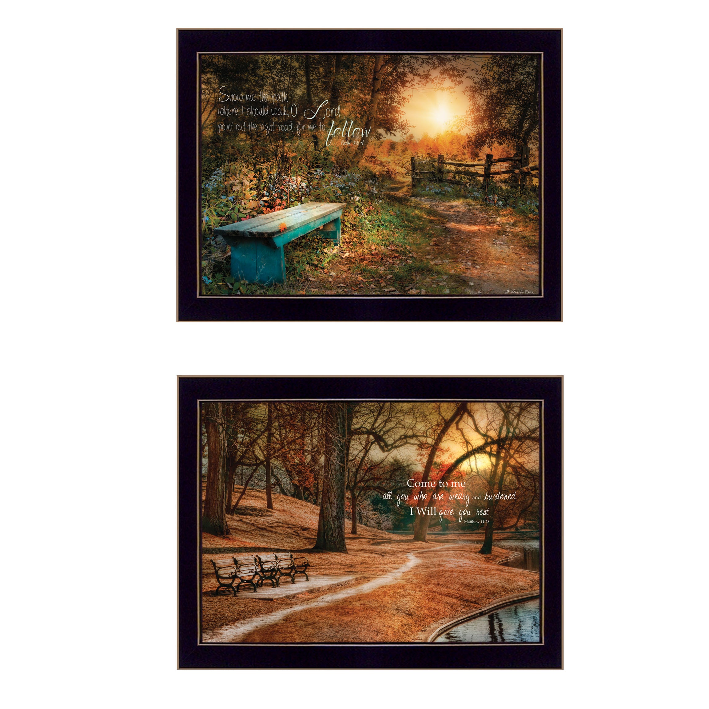 "Resting Places" 2-Piece Vignette by Robin-Lee Vieira, Black Frame--1