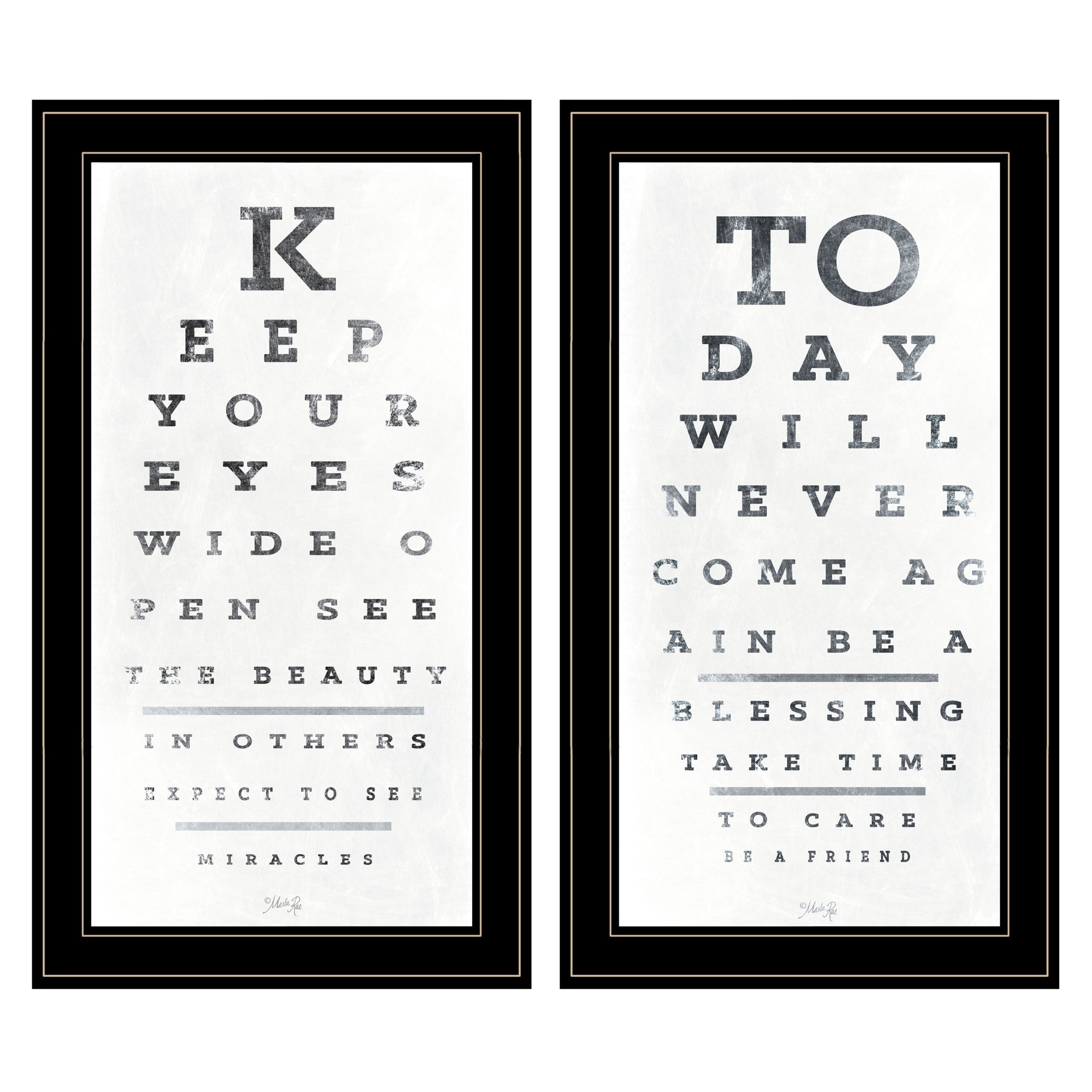 "Eye Charts" 2-Piece Vignette by Artisan Marla Rae, Ready to Hang Framed Print, Black Frame--1