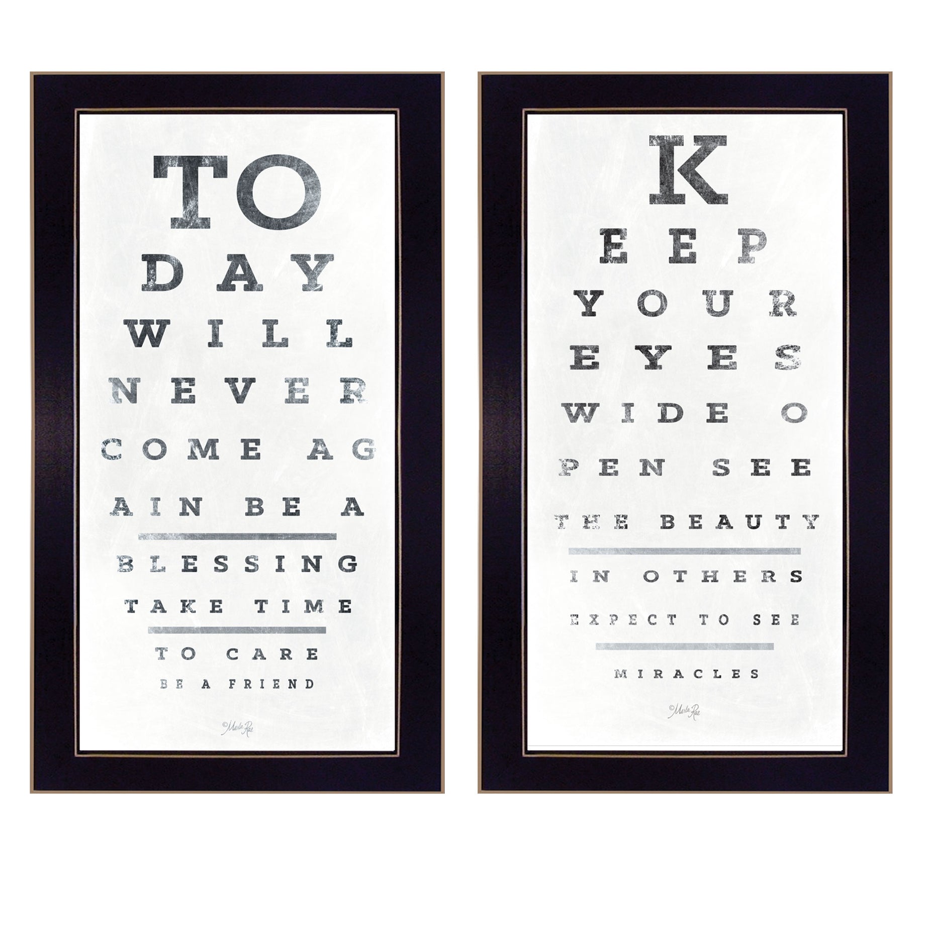 "Eye Charts" 2-Piece Vignette by Artisan Marla Rae, Ready to Hang Framed Print, Black Frame--1