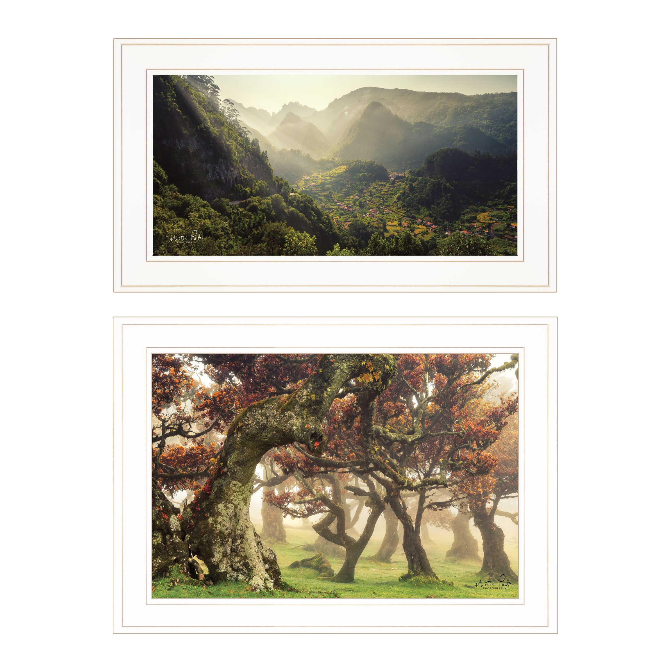 "The Land of Hobbits" 2-Piece Vignette by Martin Podt, White Frame--1