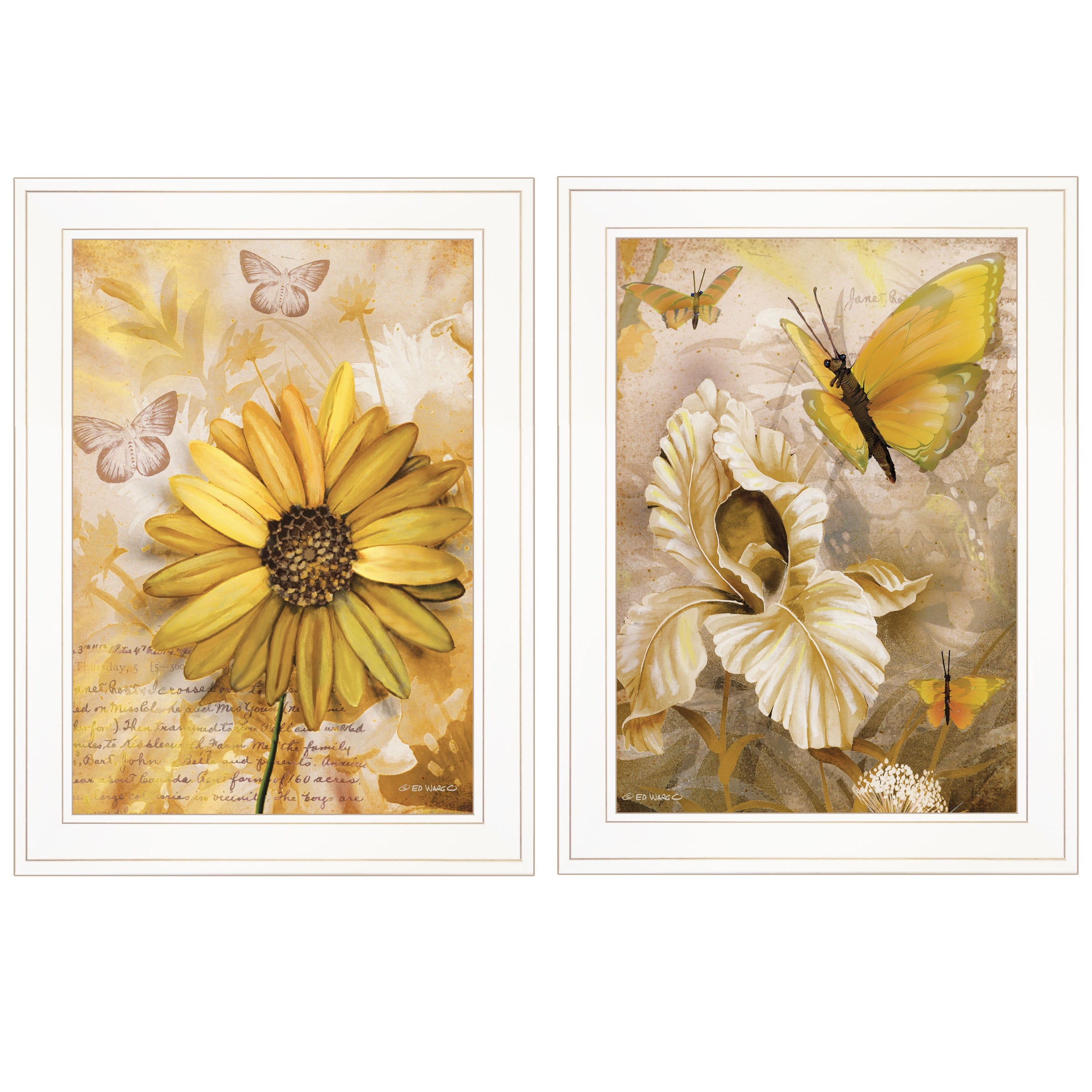 "Flowers & Butterflies" 2-Piece Vignette By Ed Wargo, Ready to Hang Framed Print, White Frame--1