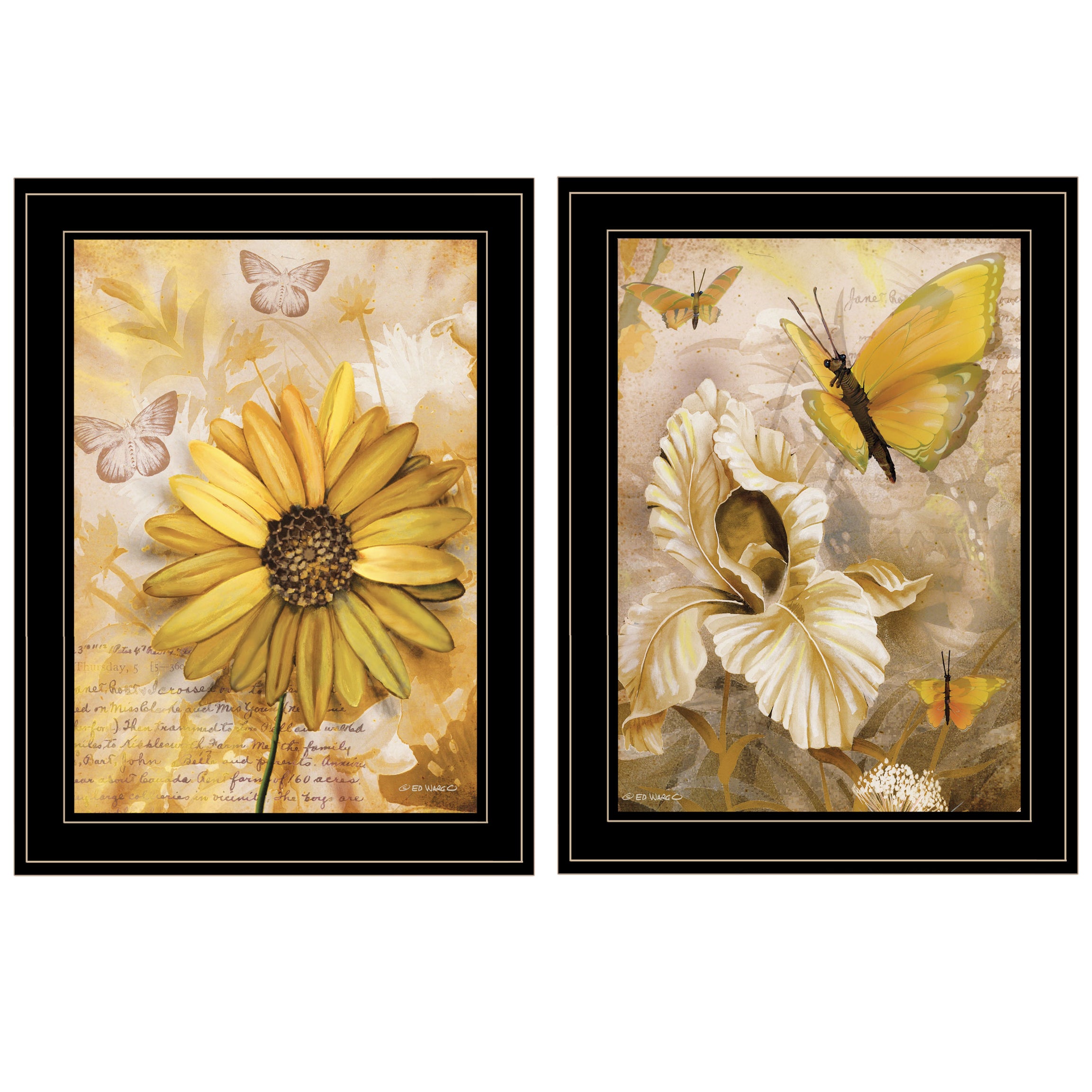 "Flowers & Butterflies" 2-Piece Vignette By Ed Wargo, Ready to Hang Framed Print, Black Frame--1