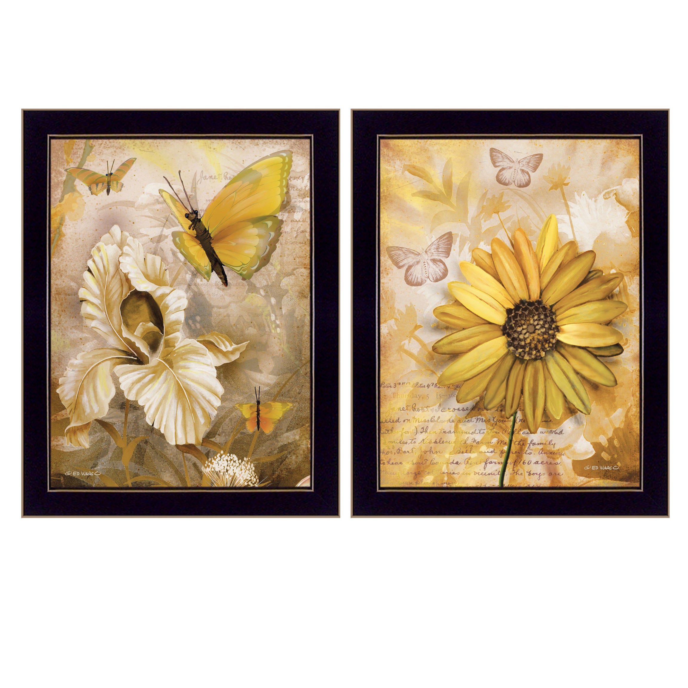 "Flowers & Butterflies" 2-Piece Vignette By Ed Wargo, Ready to Hang Framed Print, Black Frame--1