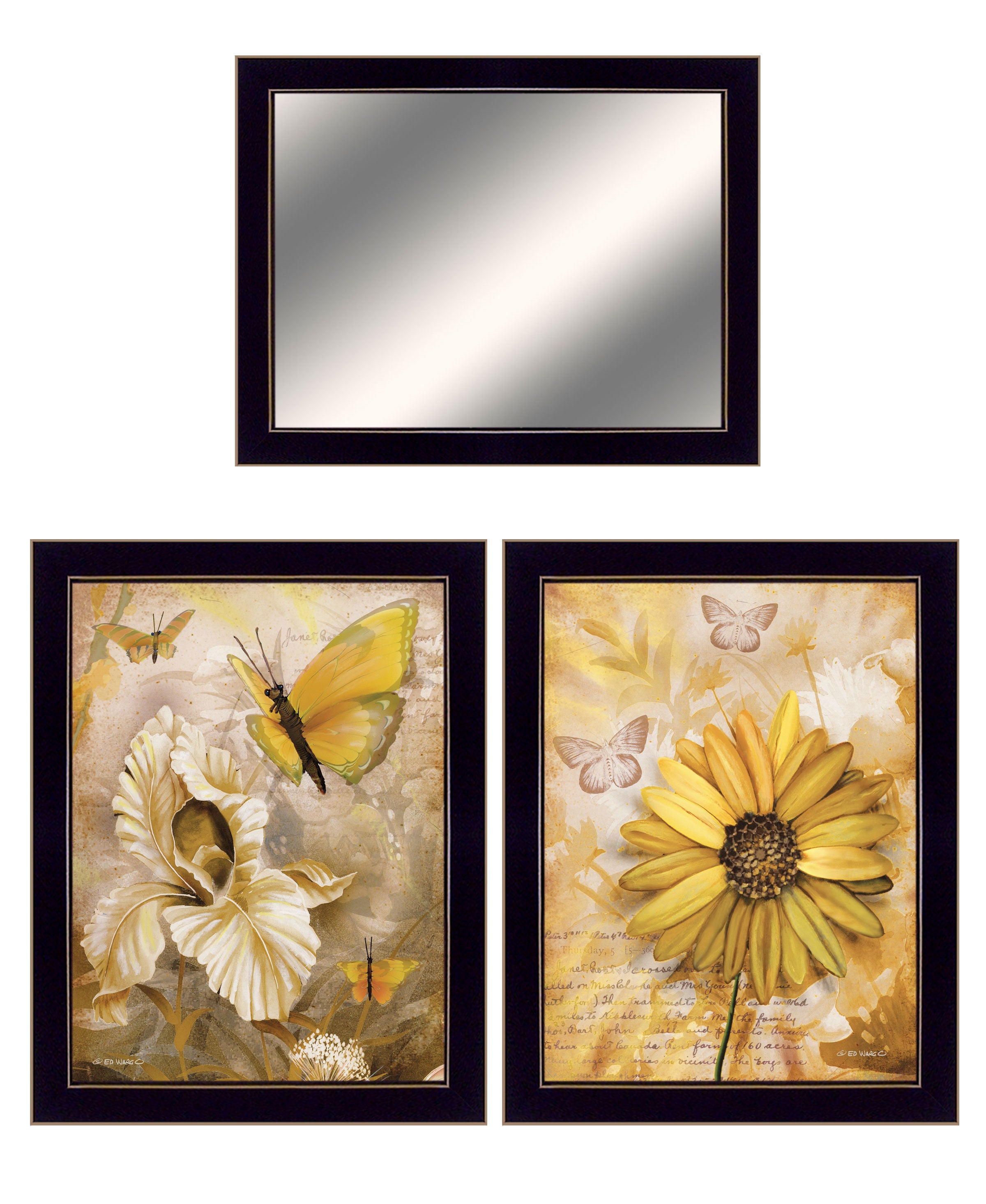 "Butterflies" 3-Piece Vignette By Ed Wargo, Ready to Hang Framed Print, Black Frame--1