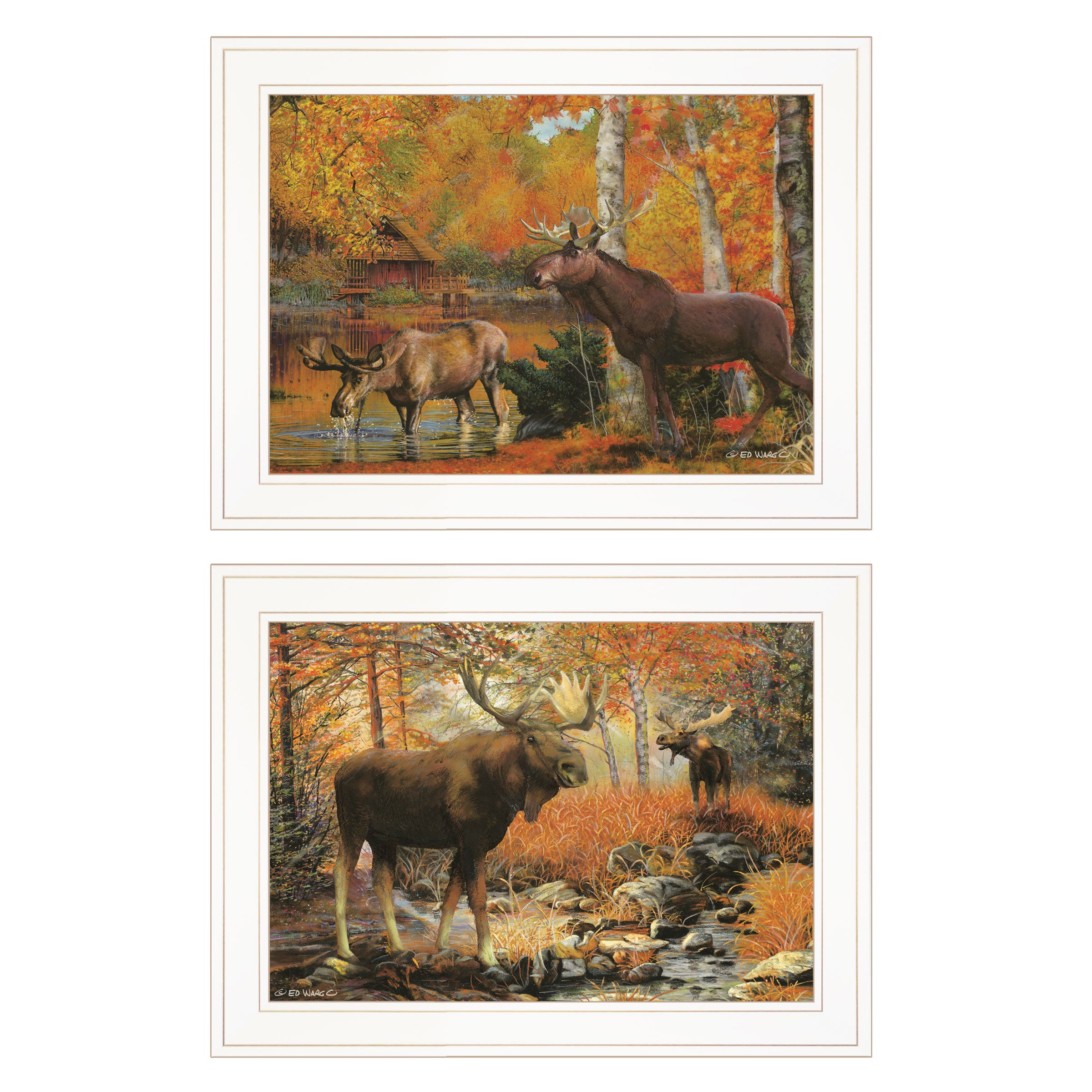 "Call of the Wild" 2-Piece Vignette By Ed Wargo, Ready to Hang Framed Print, White Frame--1