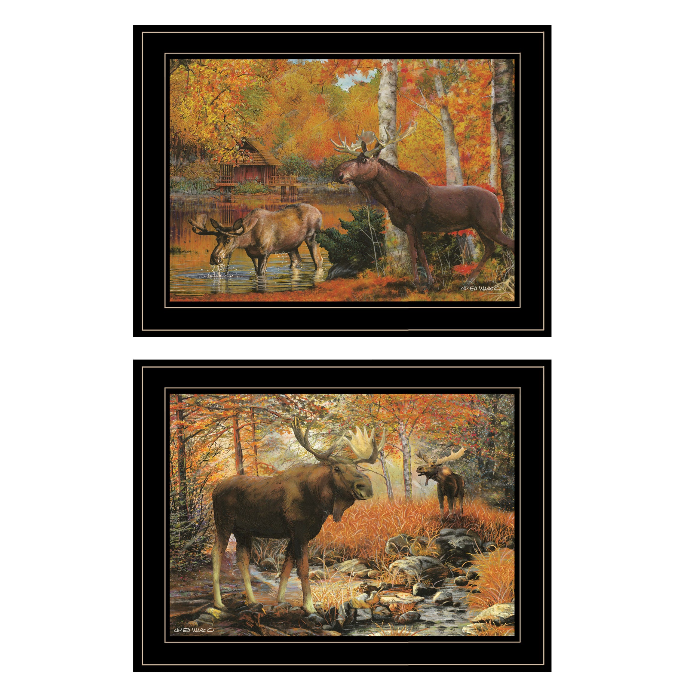 "Great Outdoors" 2-Piece Vignette By Ed Wargo, Ready to Hang Framed Print, Black Frame--1