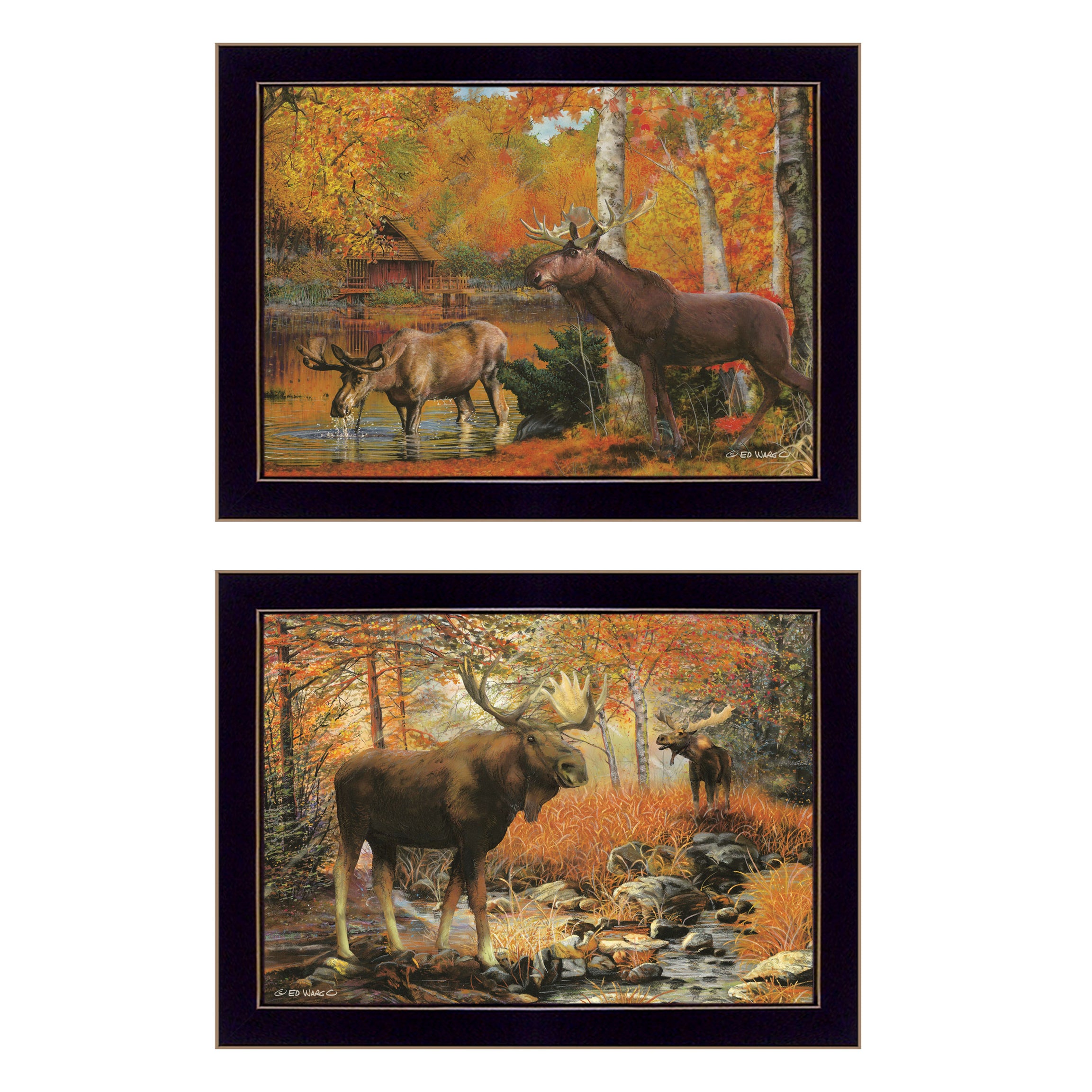 "Call of the Wild" 2-Piece Vignette By Ed Wargo, Ready to Hang Framed Print, Black Frame--1