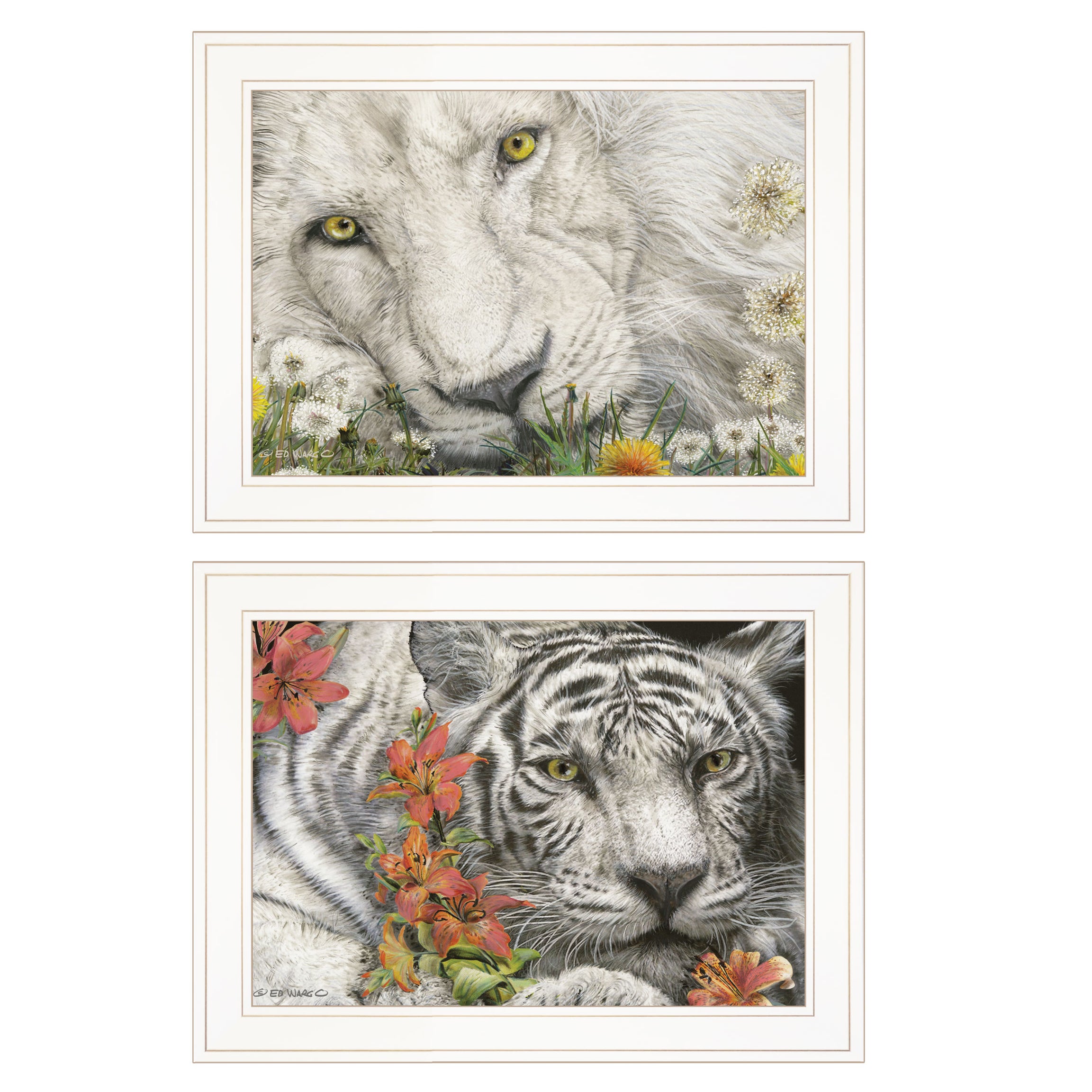 "Tiger Lily Dandy Lion" 2-Piece Vignette By Ed Wargo, Ready to Hang Framed Print, White Frame--1