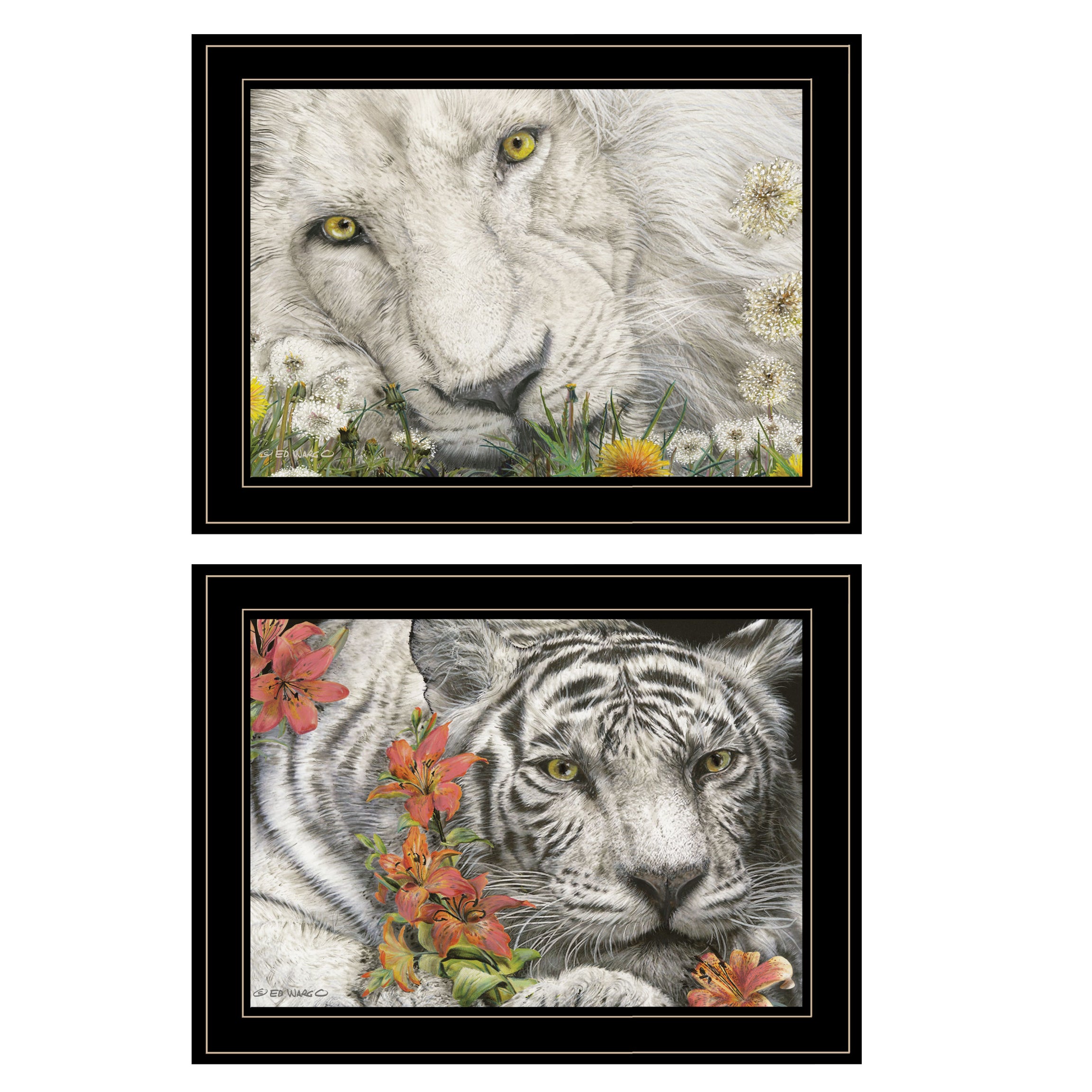 "Tiger Lily Dandy Lion" 2-Piece Vignette By Ed Wargo, Ready to Hang Framed Print, Black Frame--1