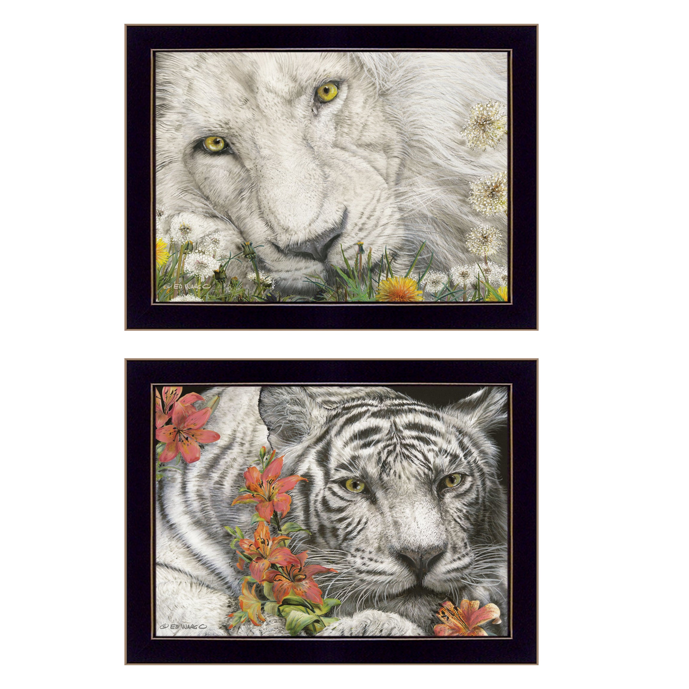 "Tiger Lily Dandy Lion" 2-Piece Vignette By Ed Wargo, Ready to Hang Framed Print, Black Frame--1