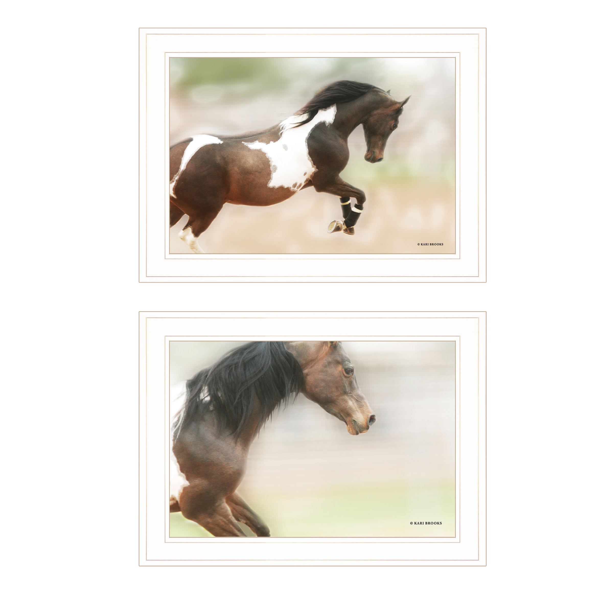 "A Wild Kookie" 2-Piece Vignette By Kari Brooks, Ready to Hang Framed Print, Horse Wall Art, White Frame--1