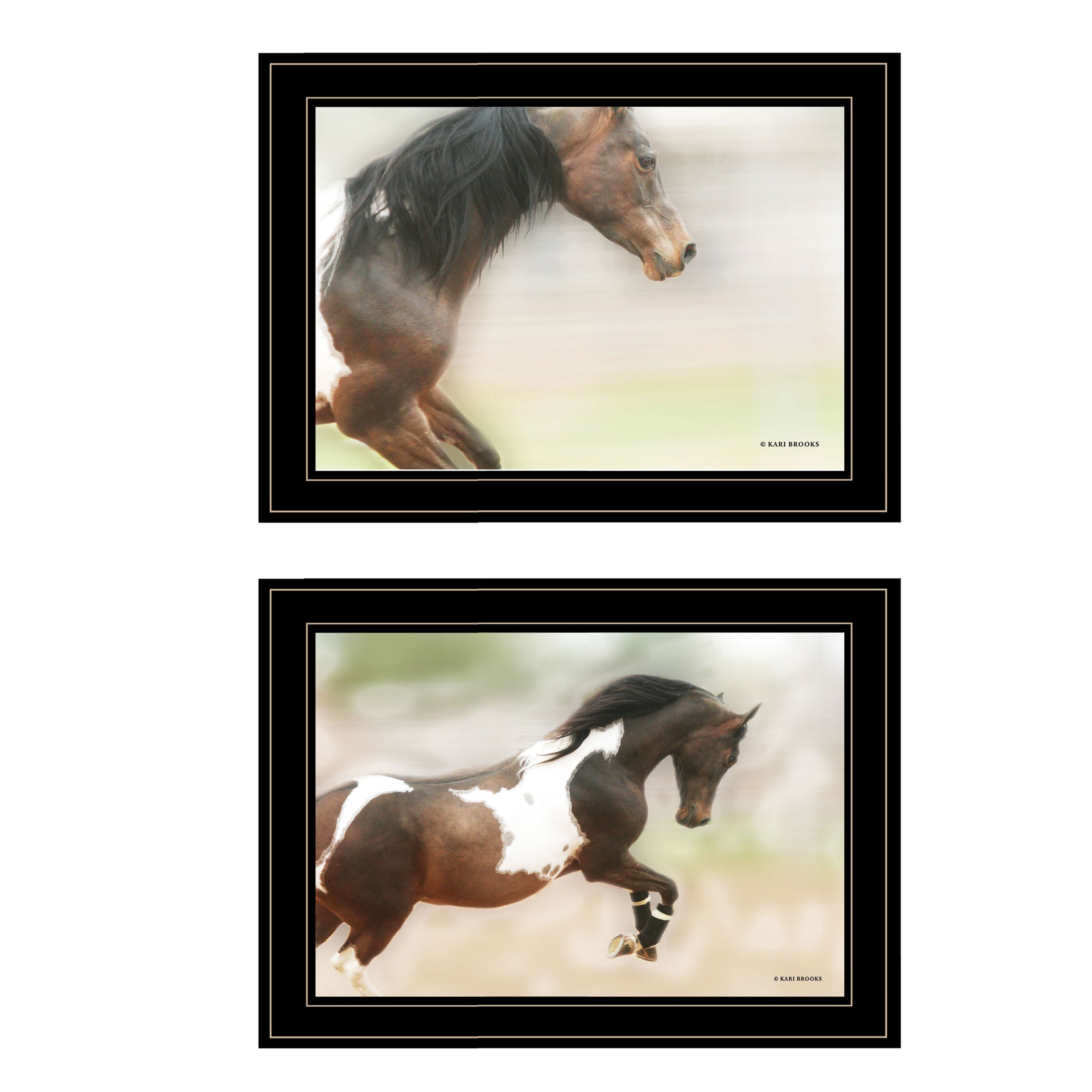 "A Wild Kookie" 2-Piece Vignette By Kari Brooks, Ready to Hang Framed Print, Horse Wall Art, Black Frame--1